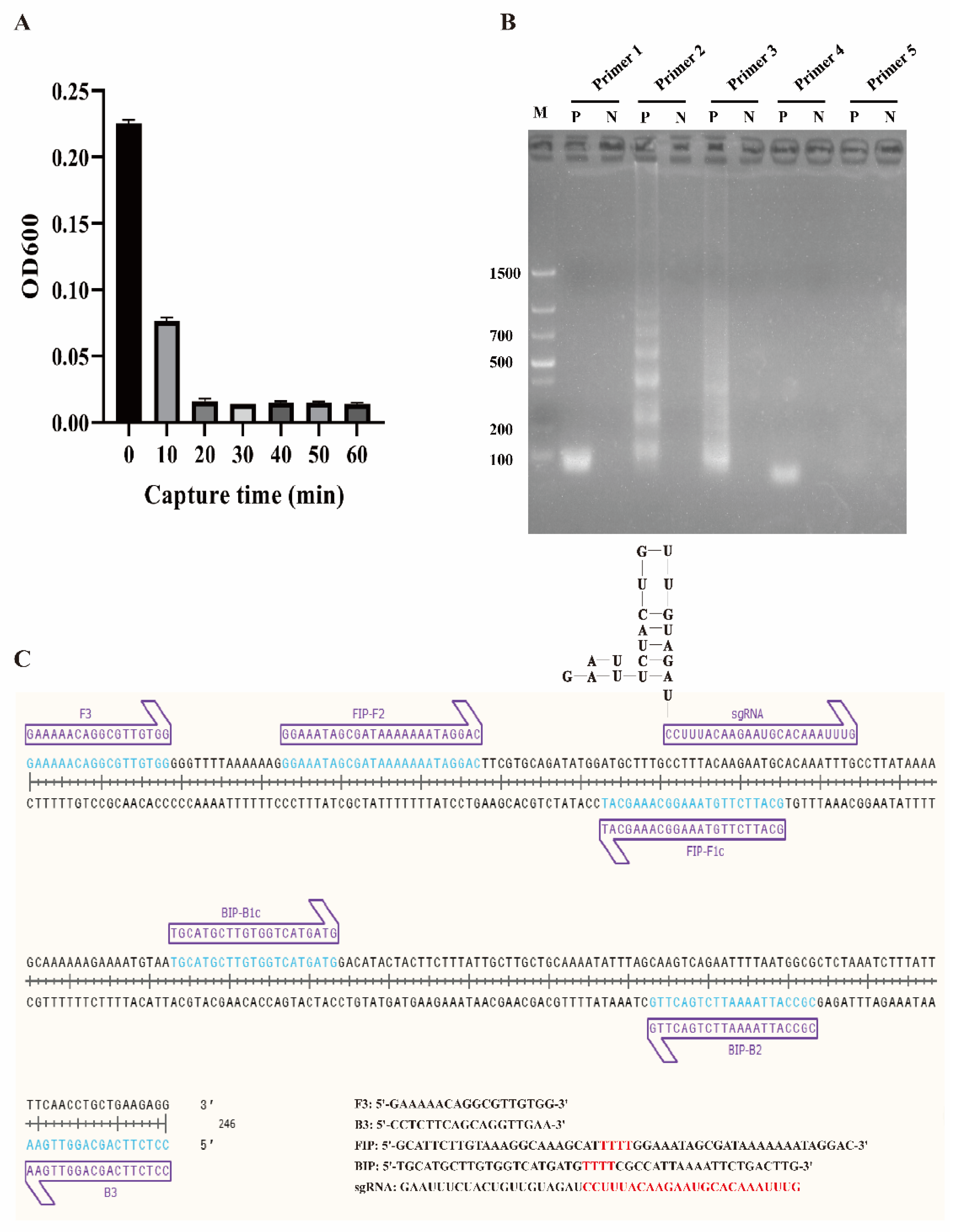 Biosensors 12 00154 g002
