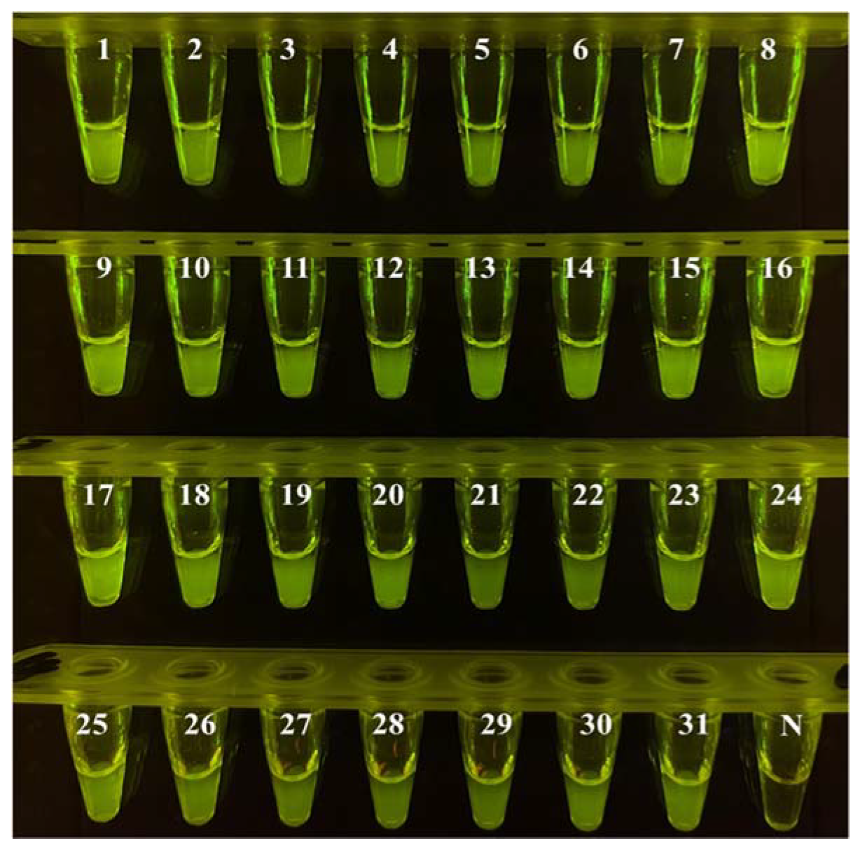 Biosensors 12 00154 g008