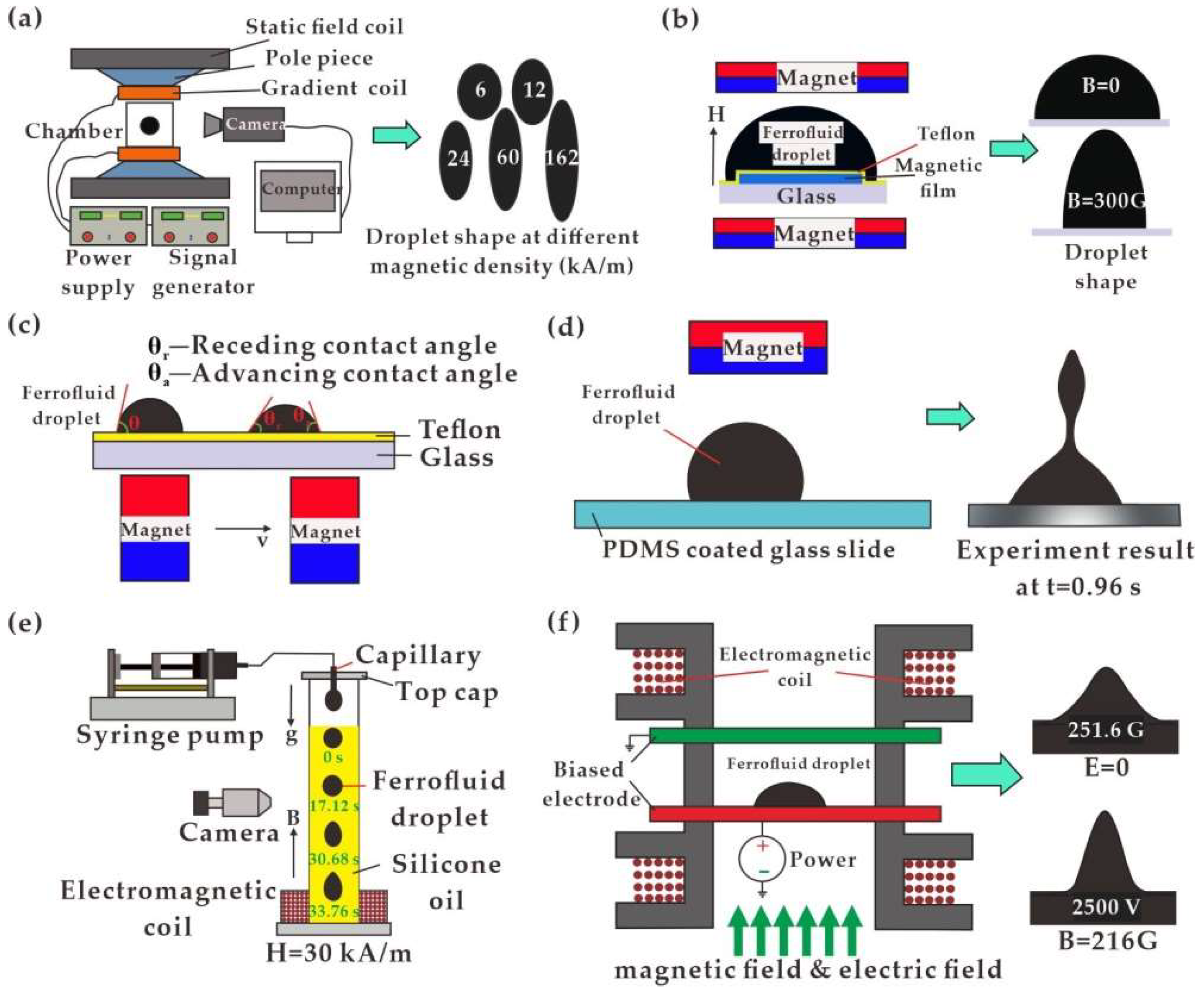 Biosensors 12 00156 g002 Biosensors 12 00156 g002