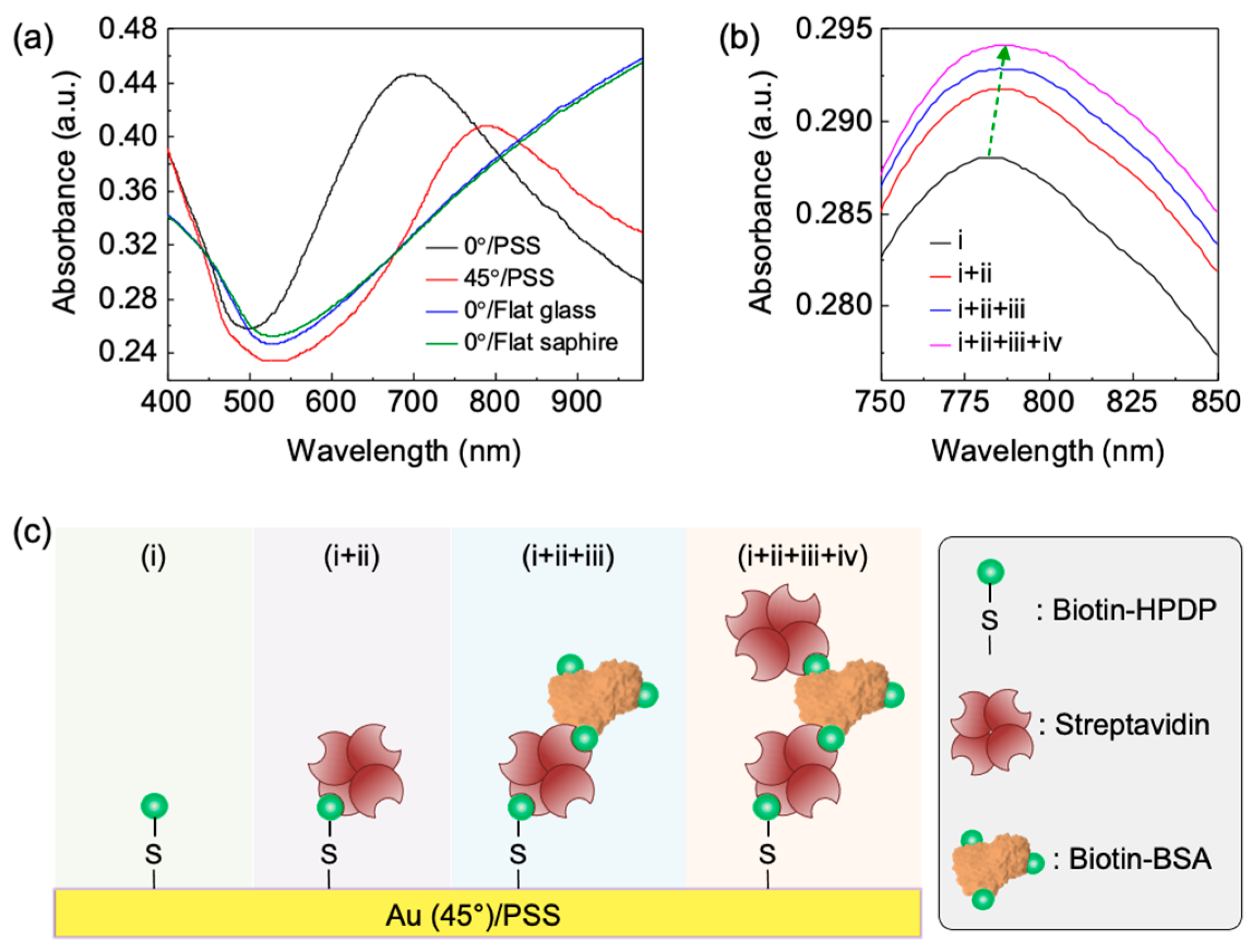 Biosensors 12 00158 g003 550