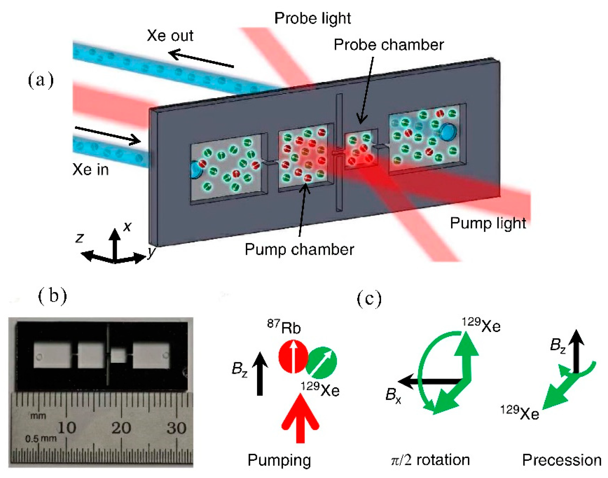 Biosensors 12 00165 g009