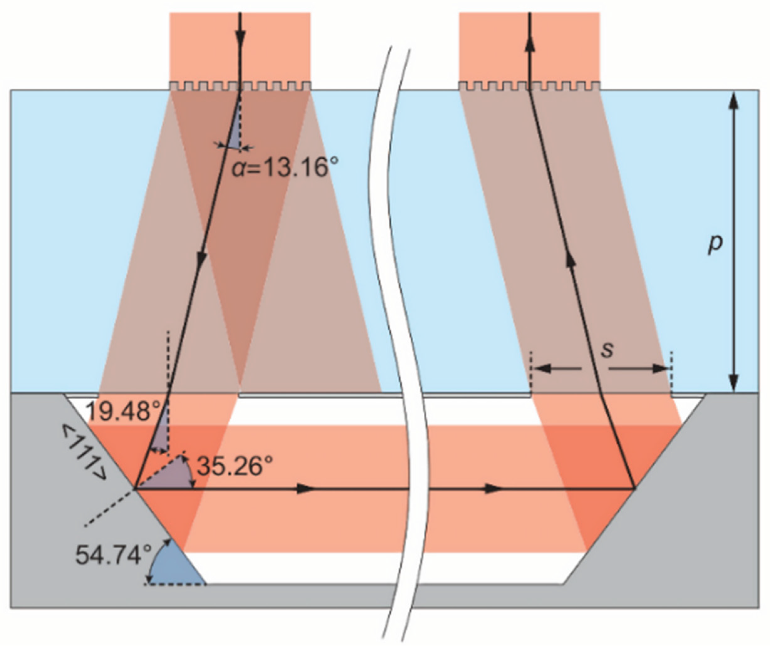 Biosensors 12 00165 g010