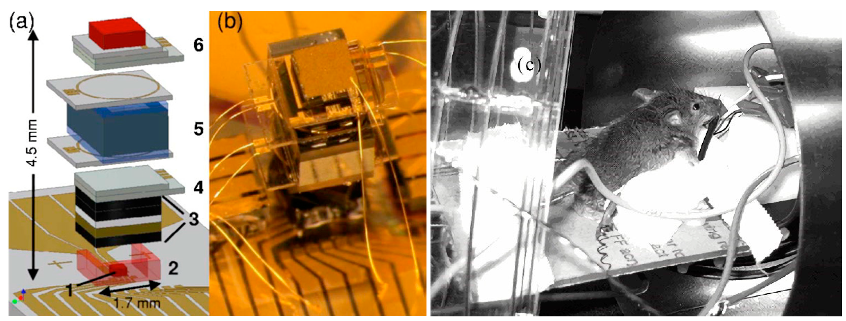 Biosensors 12 00165 g018