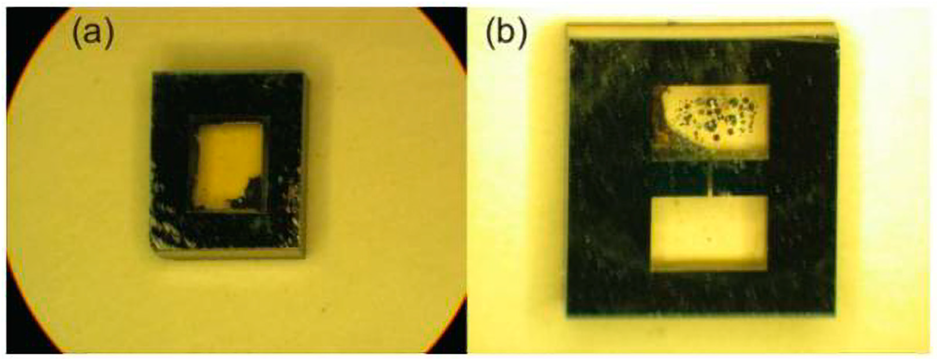 Biosensors 12 00165 g019