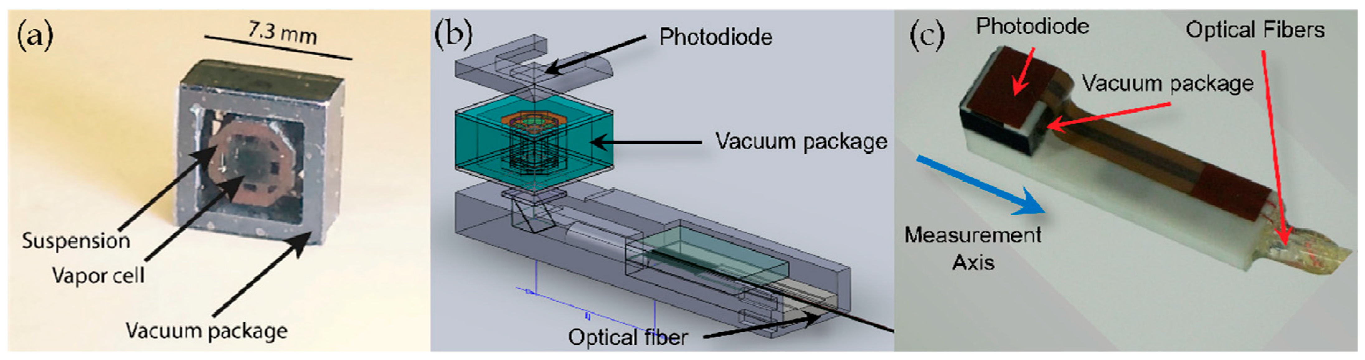 Biosensors 12 00165 g021