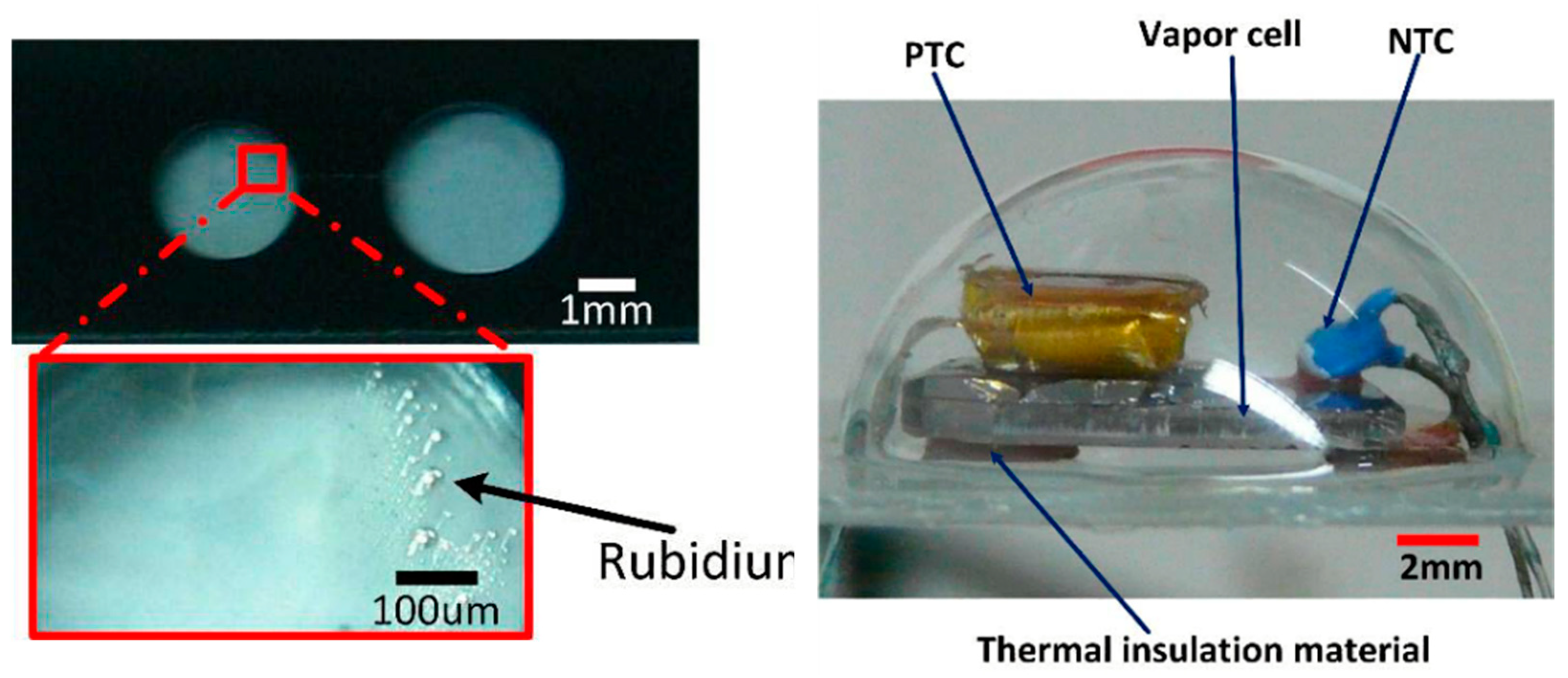 Biosensors 12 00165 g023