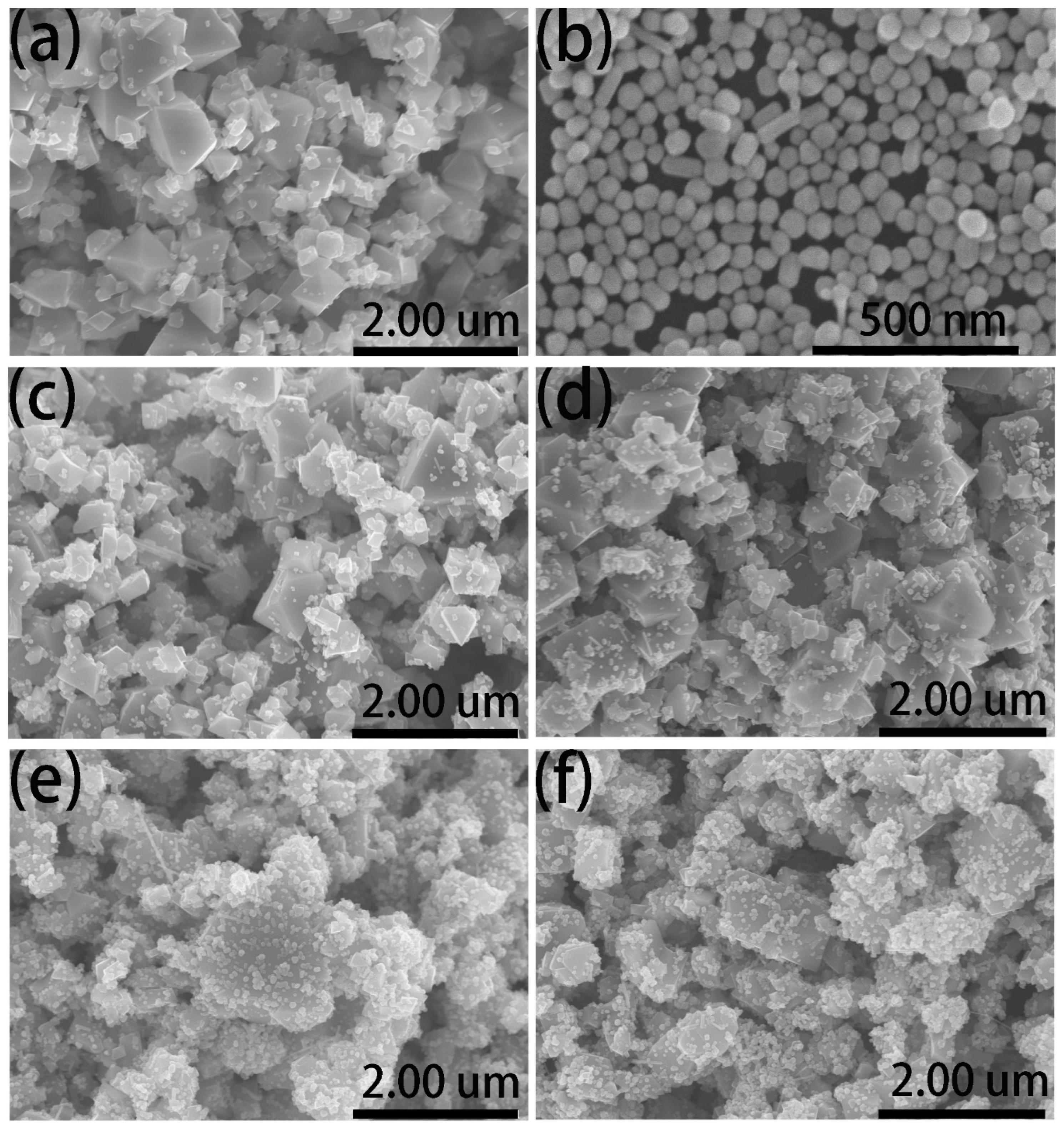 Biosensors 12 00169 g001