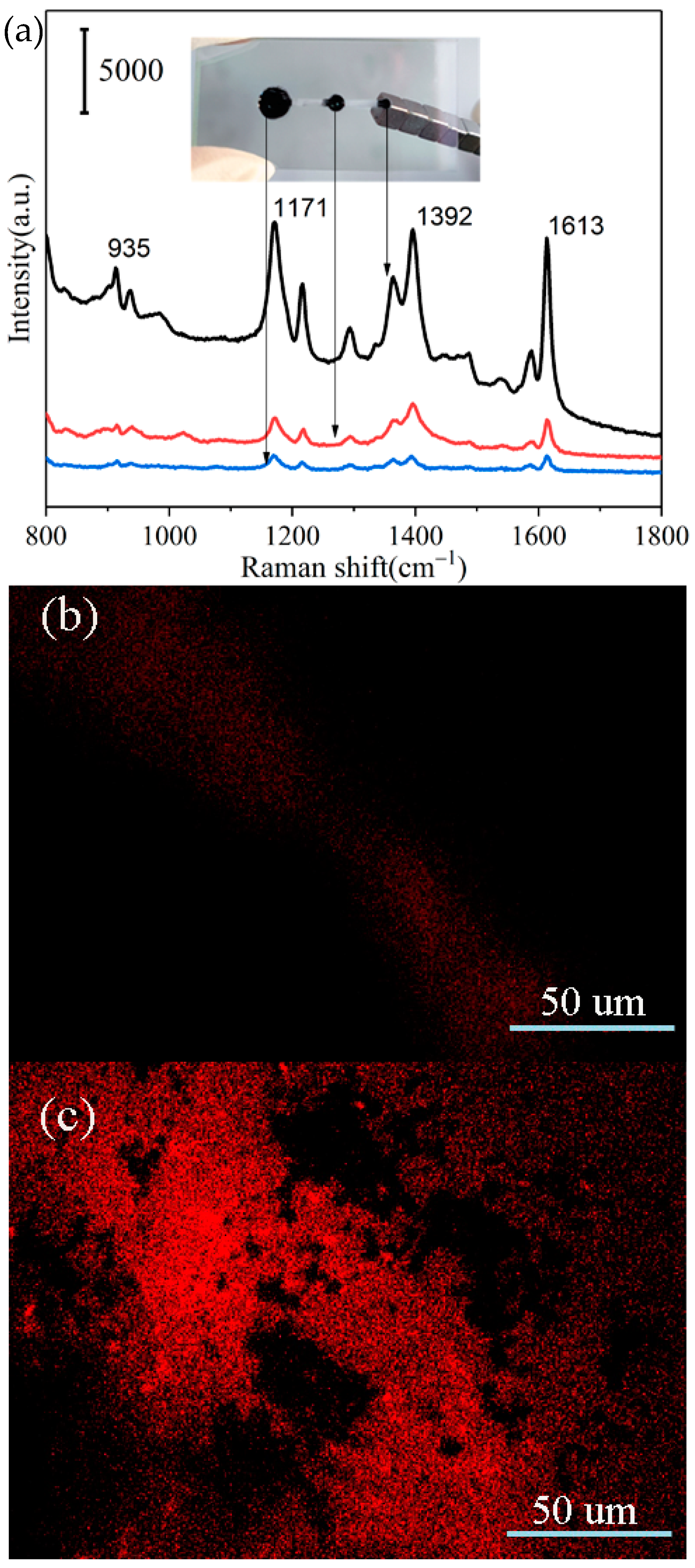 Biosensors 12 00169 g005