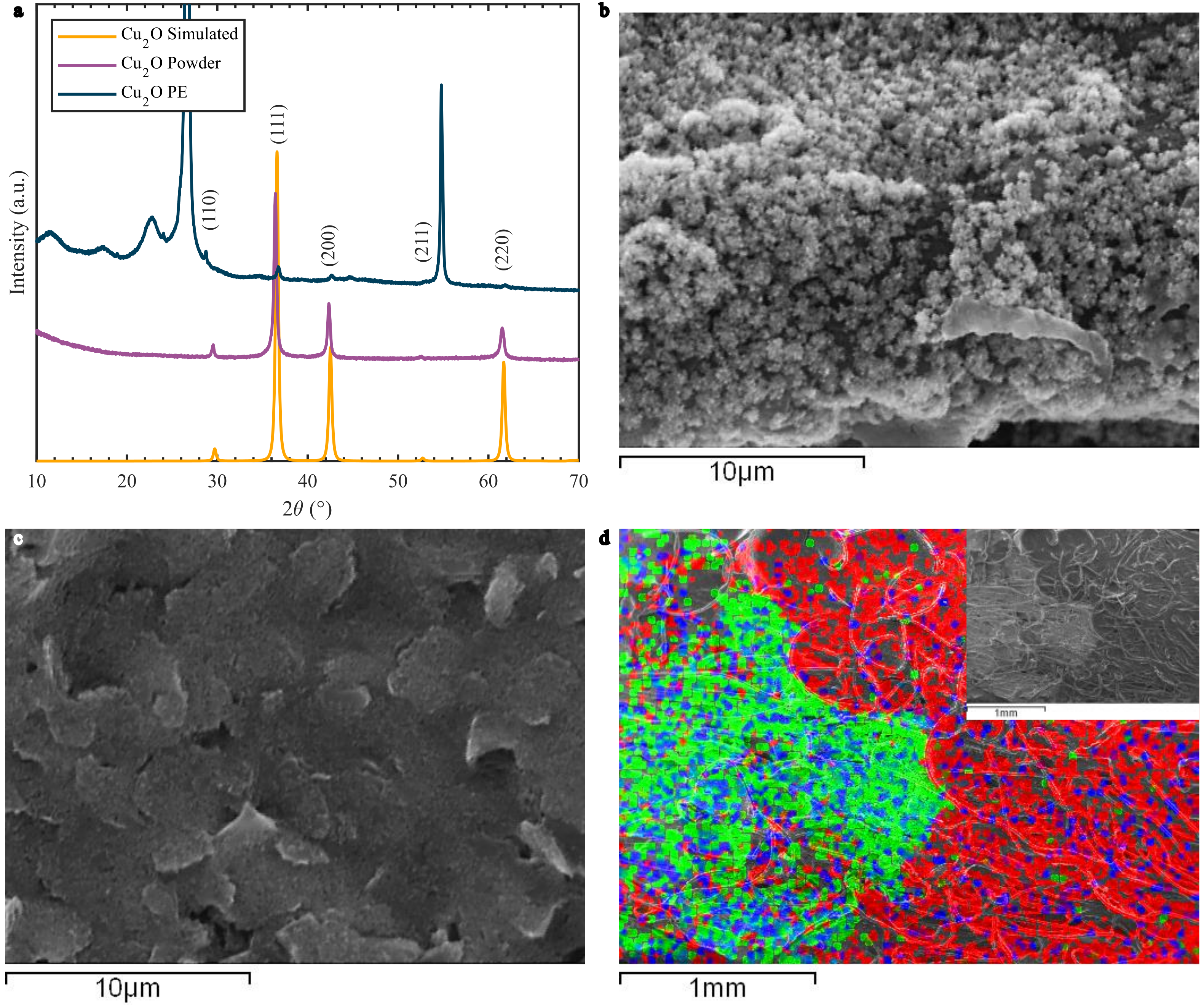 Biosensors 12 00174 g002