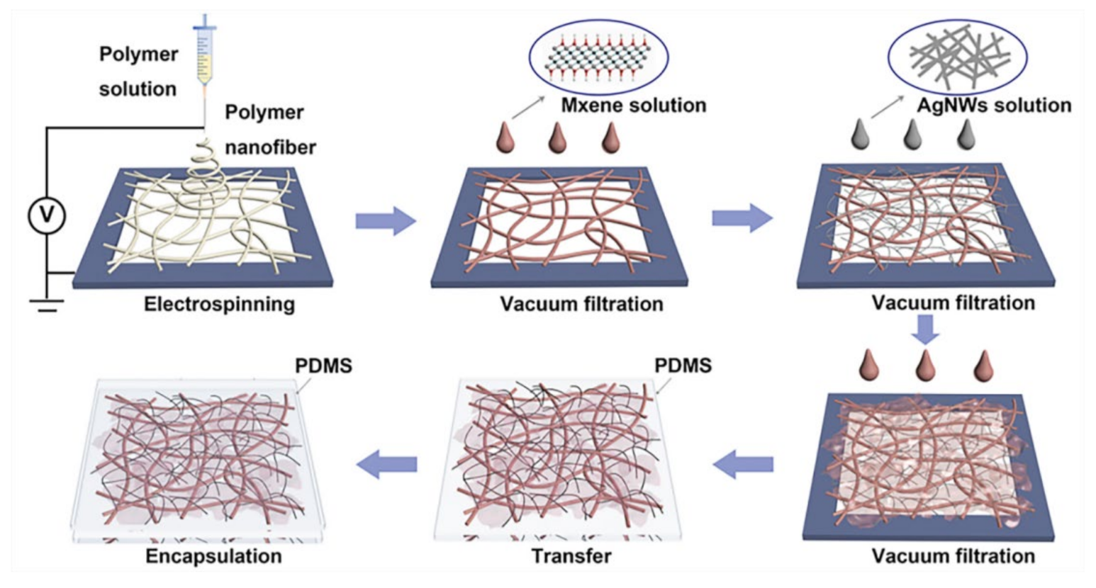Biosensors 12 00177 g005