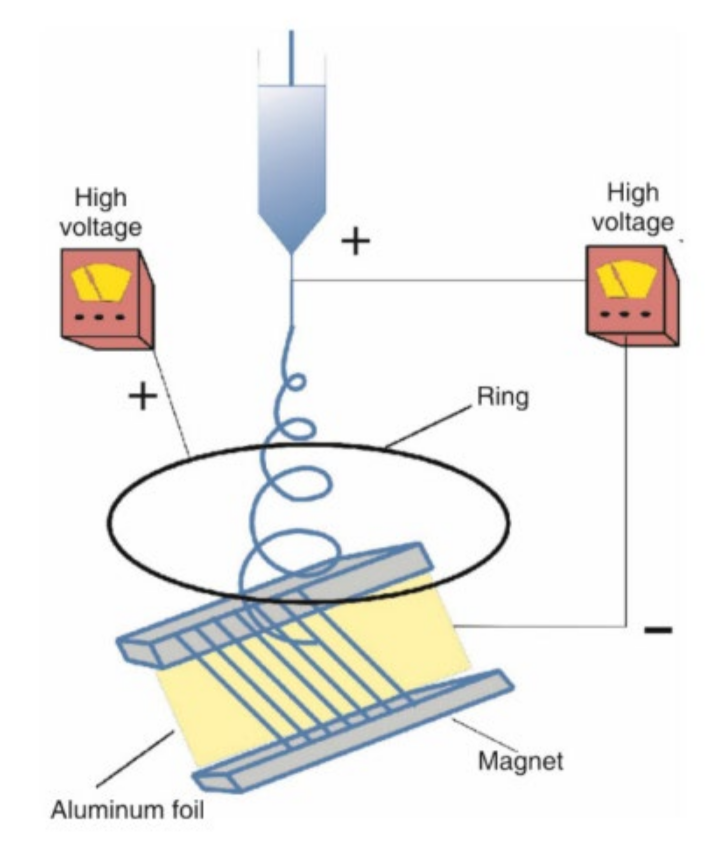 Biosensors 12 00177 g006