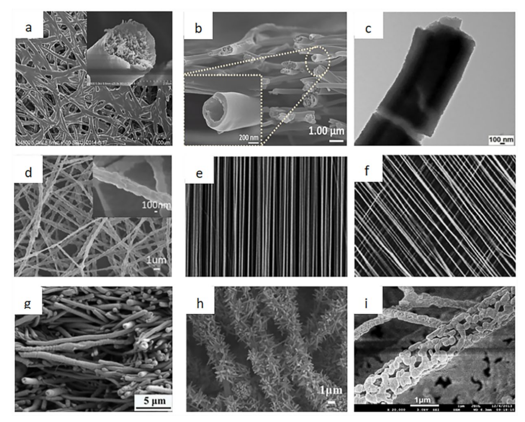 Biosensors 12 00177 g007