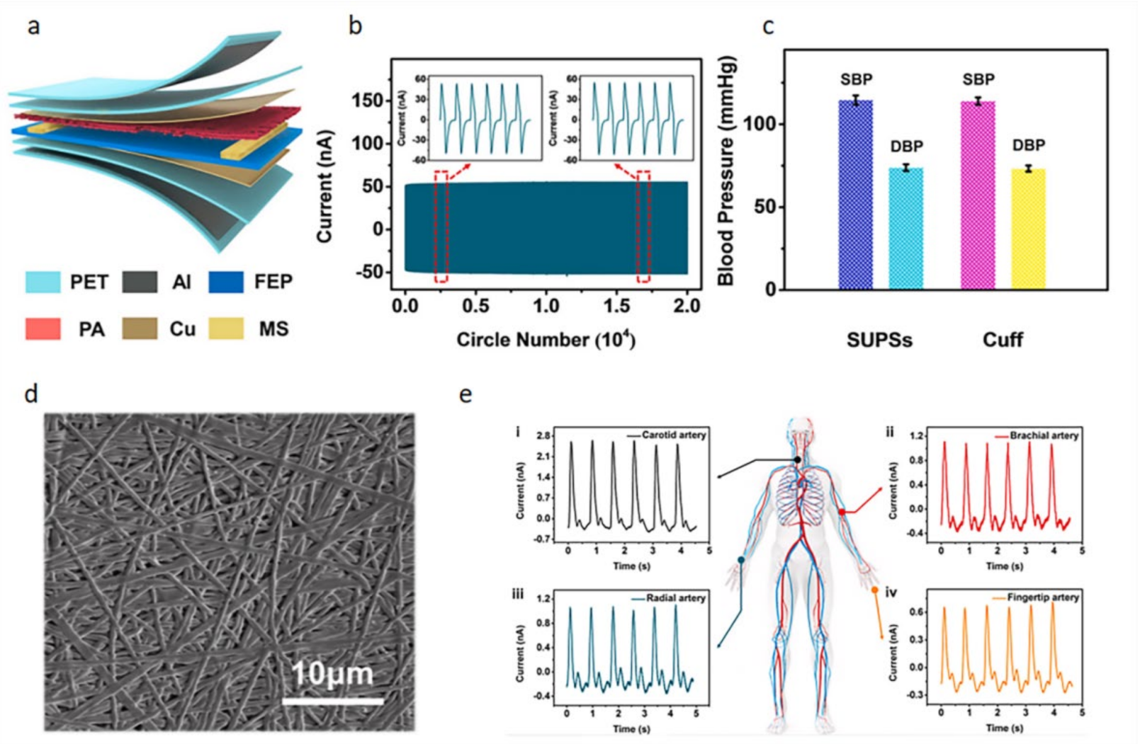 Biosensors 12 00177 g008