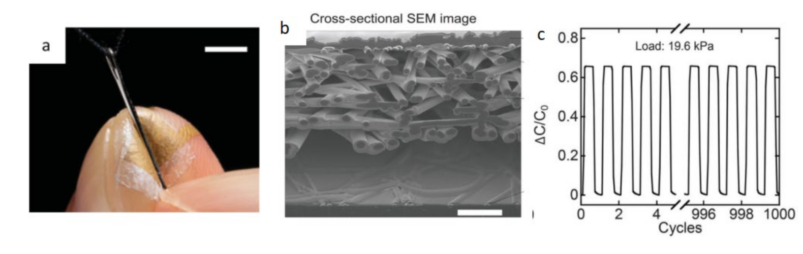 Biosensors 12 00177 g009