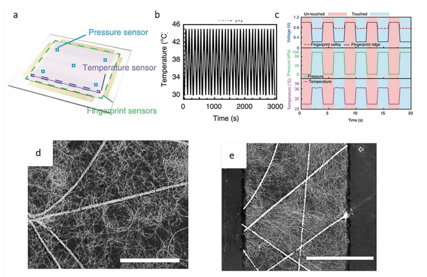 Biosensors 12 00177 g010