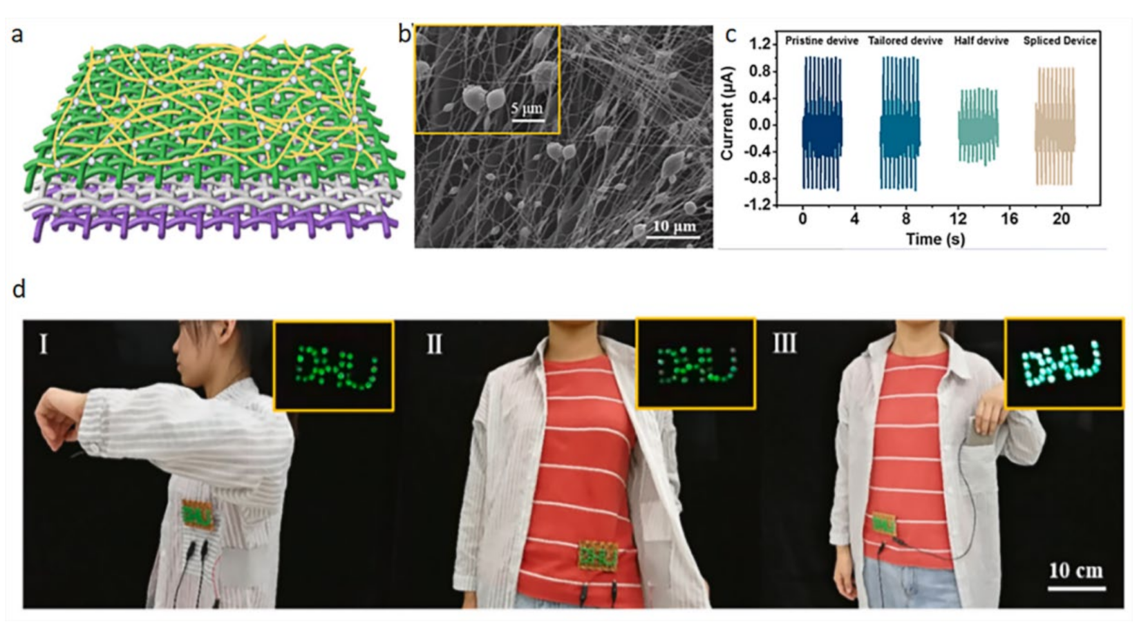 Biosensors 12 00177 g013