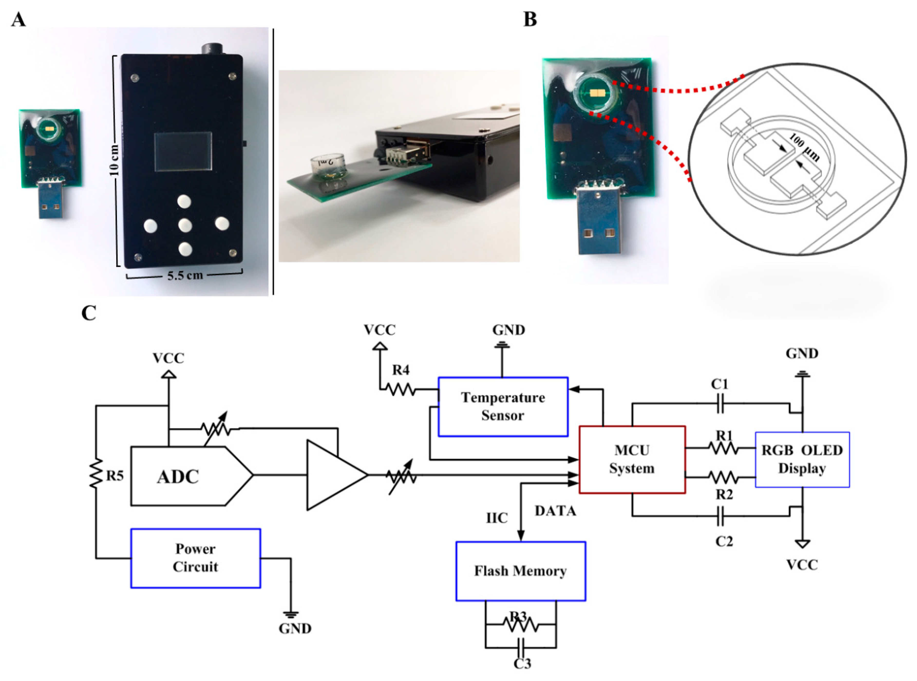 Biosensors 12 00178 g001