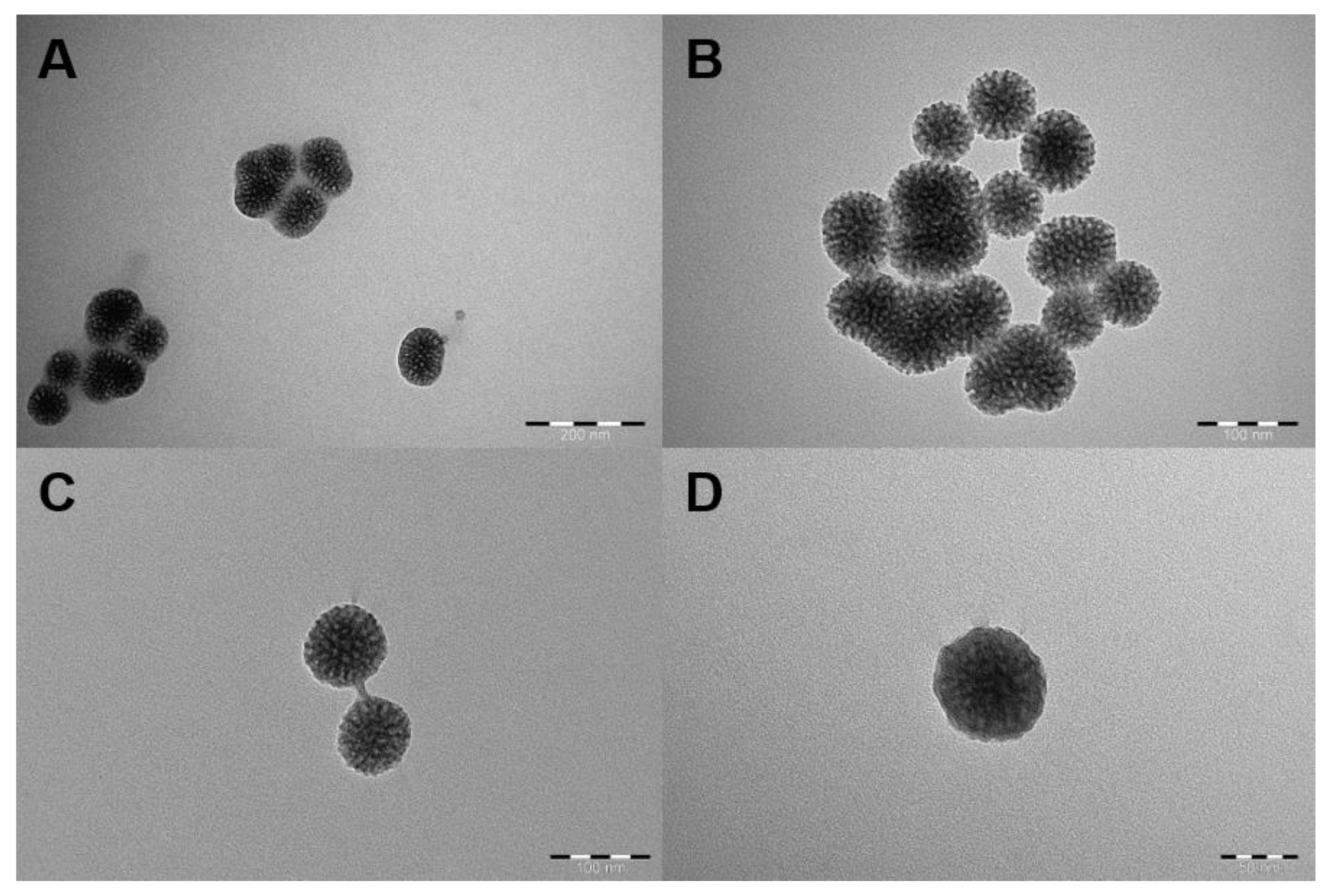Biosensors 12 00181 g003