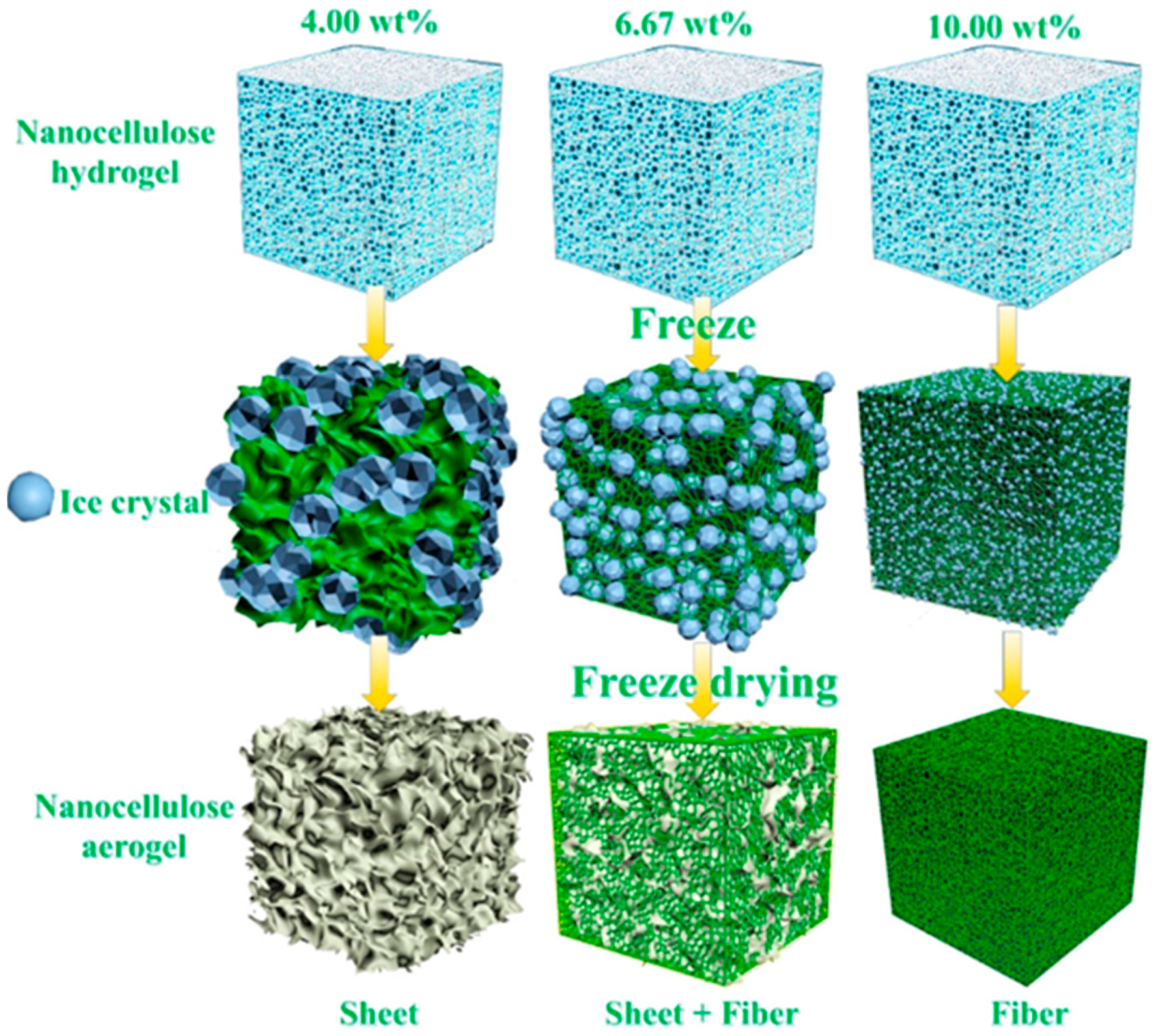 Biosensors 12 00187 g003 550