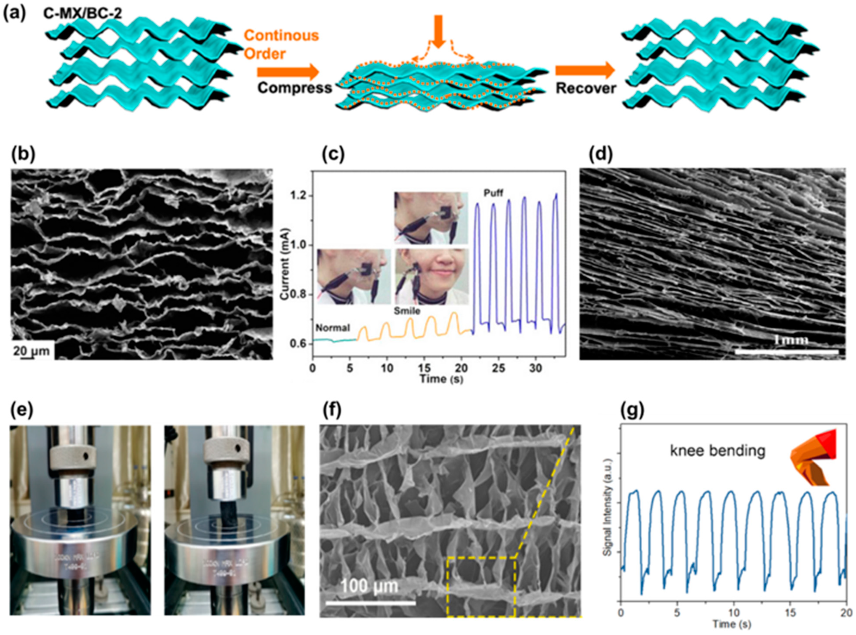 Biosensors 12 00187 g005 550