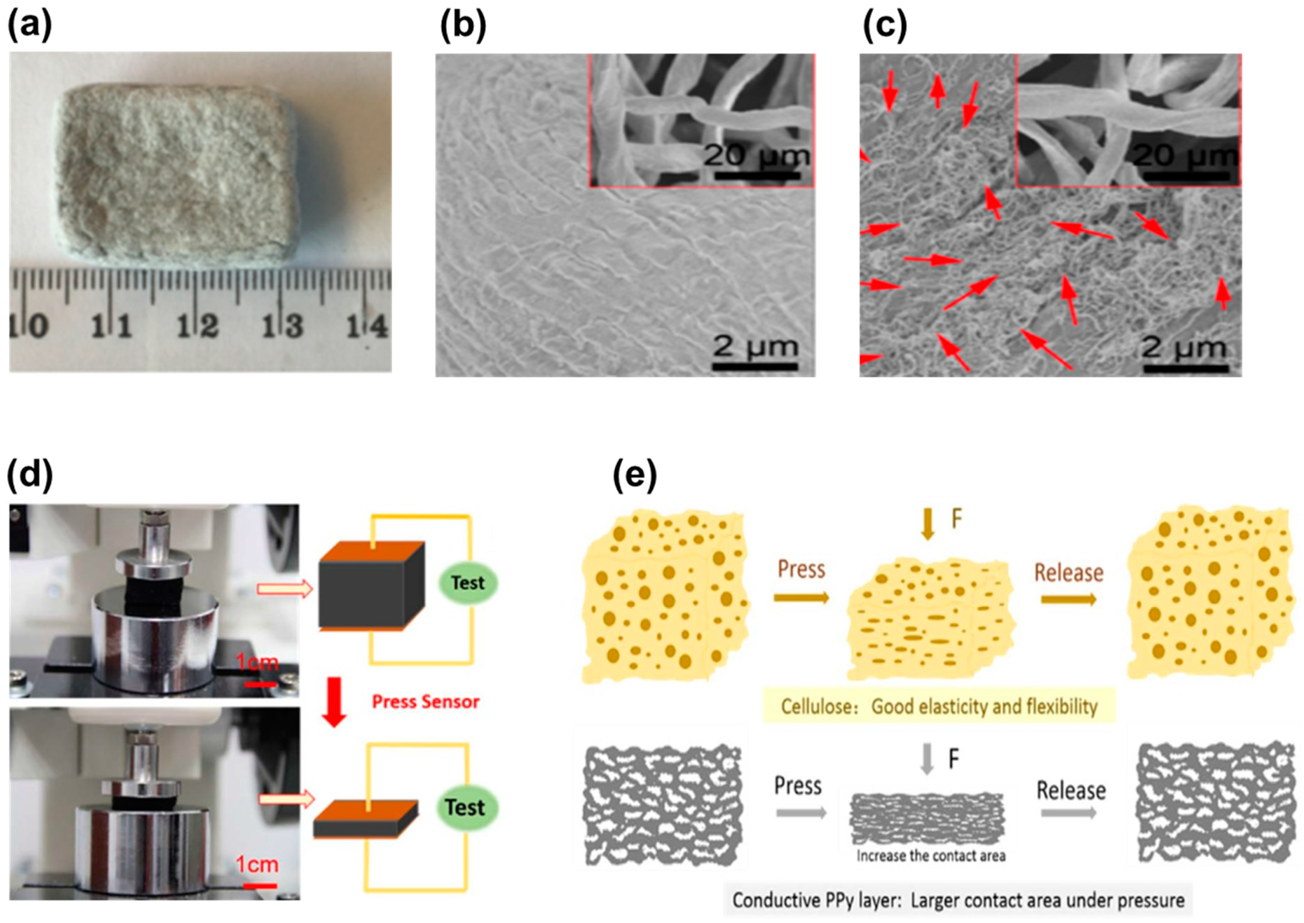 Biosensors 12 00187 g006 550