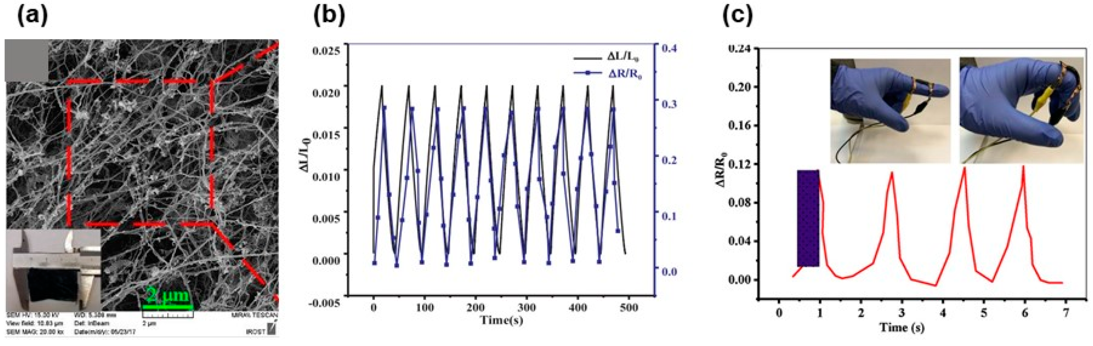 Biosensors 12 00187 g008 550