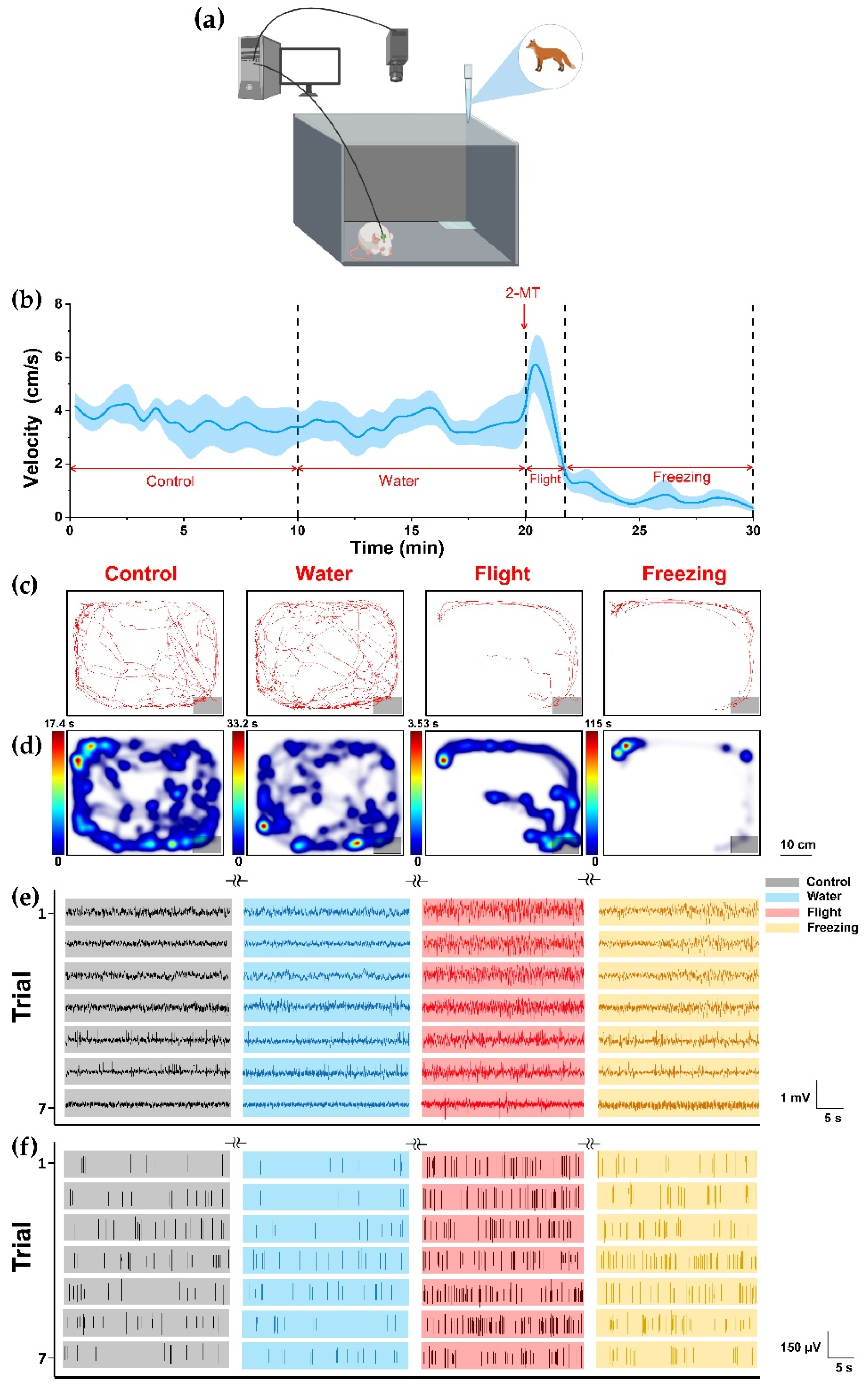 Biosensors 12 00193 g002 Biosensors 12 00193 g002