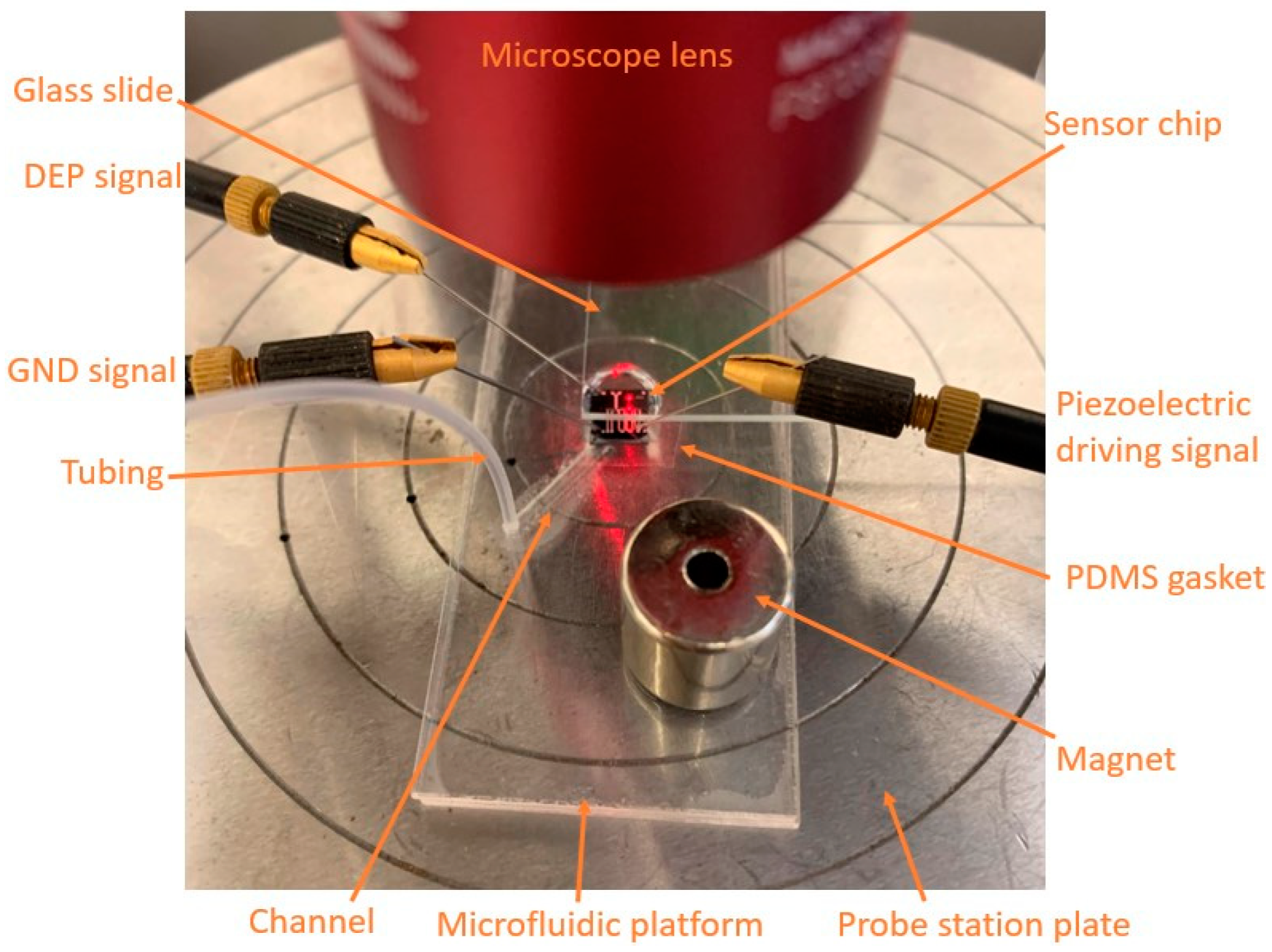 Biosensors 12 00194 g003 550