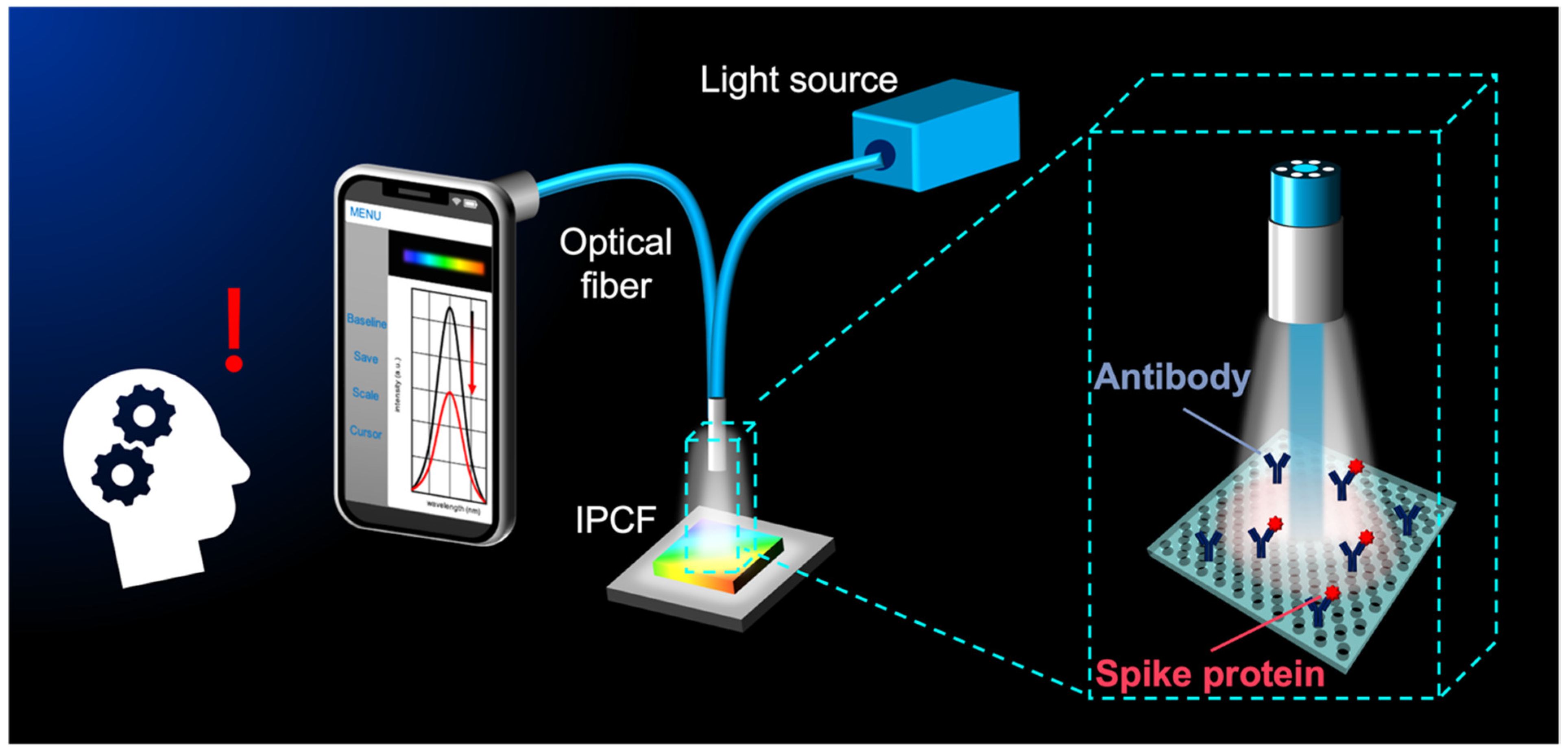 Biosensors Free FullText Imprinted Photonic CrystalFilmBased