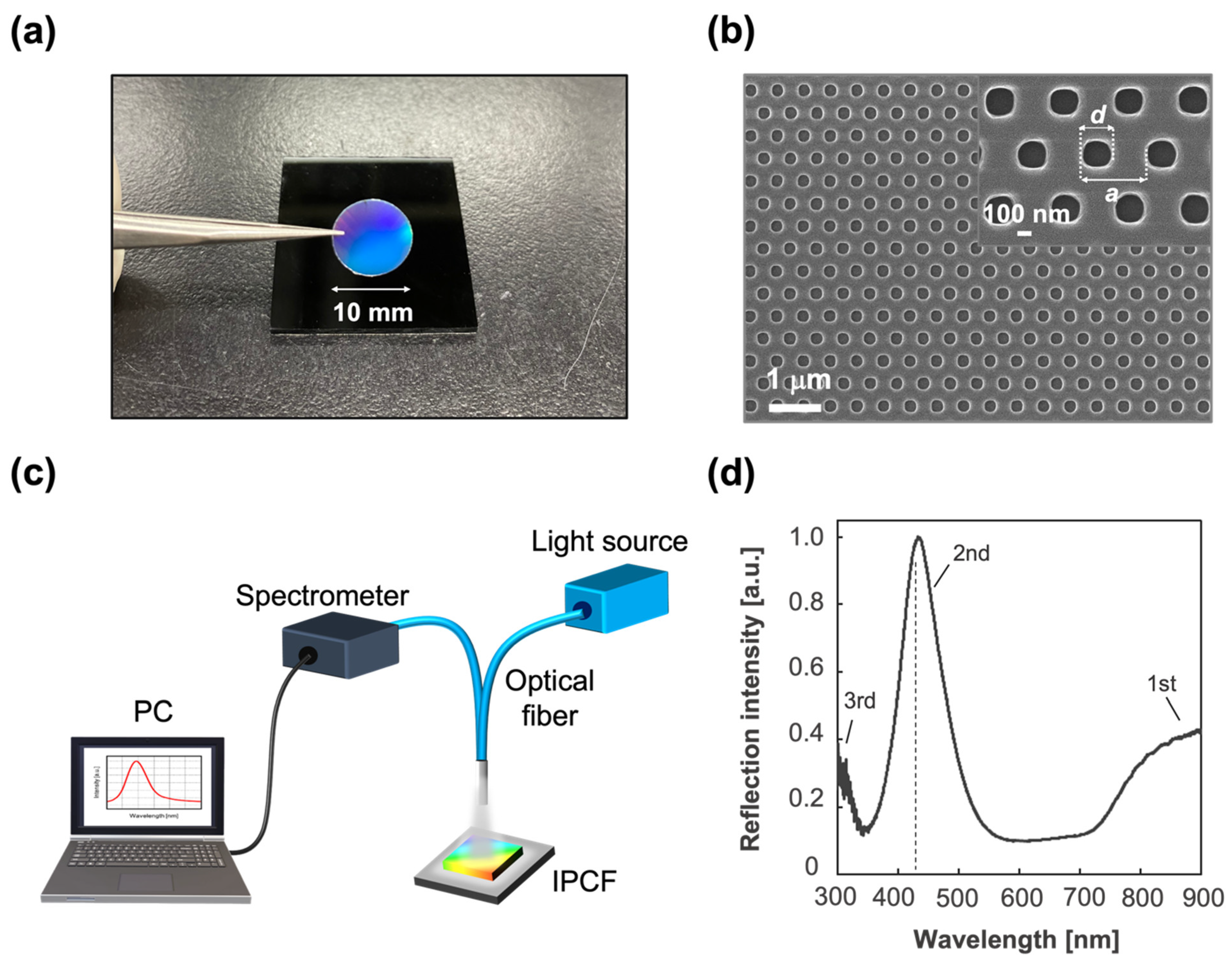Biosensors 12 00200 g002