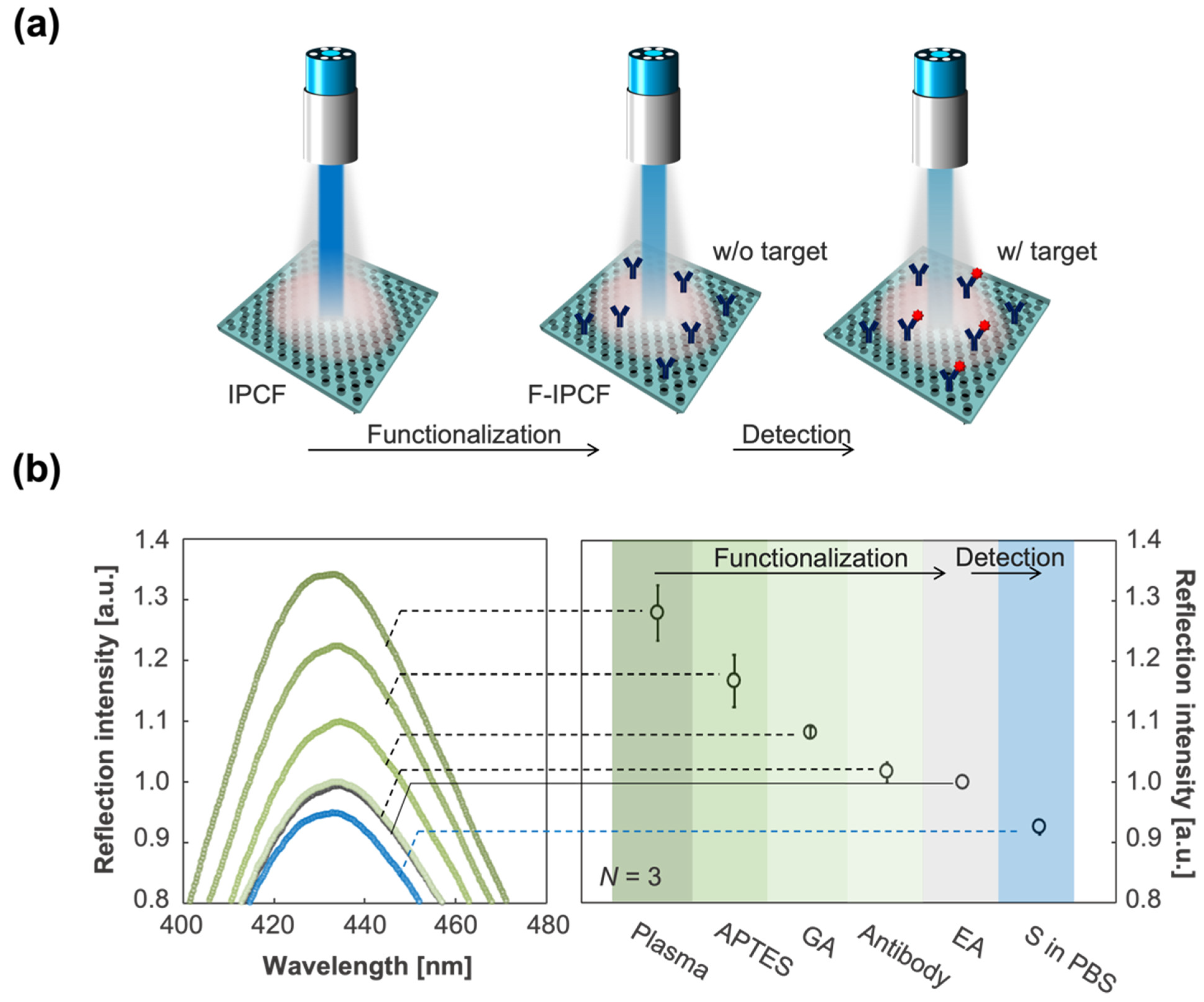 Biosensors 12 00200 g003
