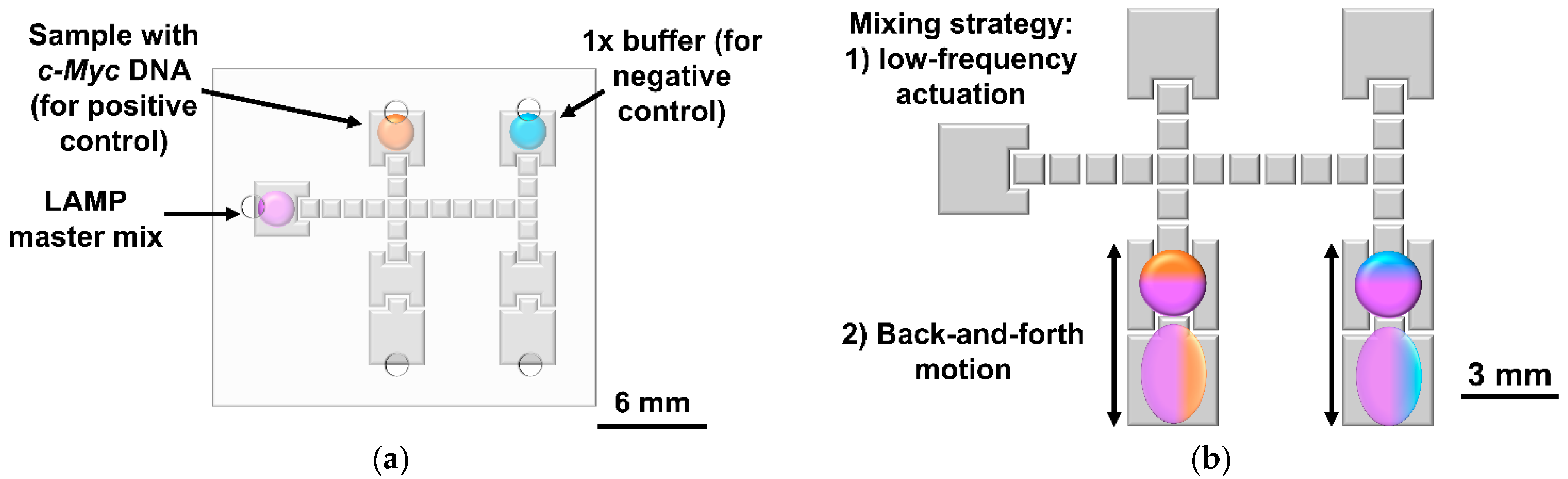 Biosensors 12 00201 g003a Biosensors 12 00201 g003a