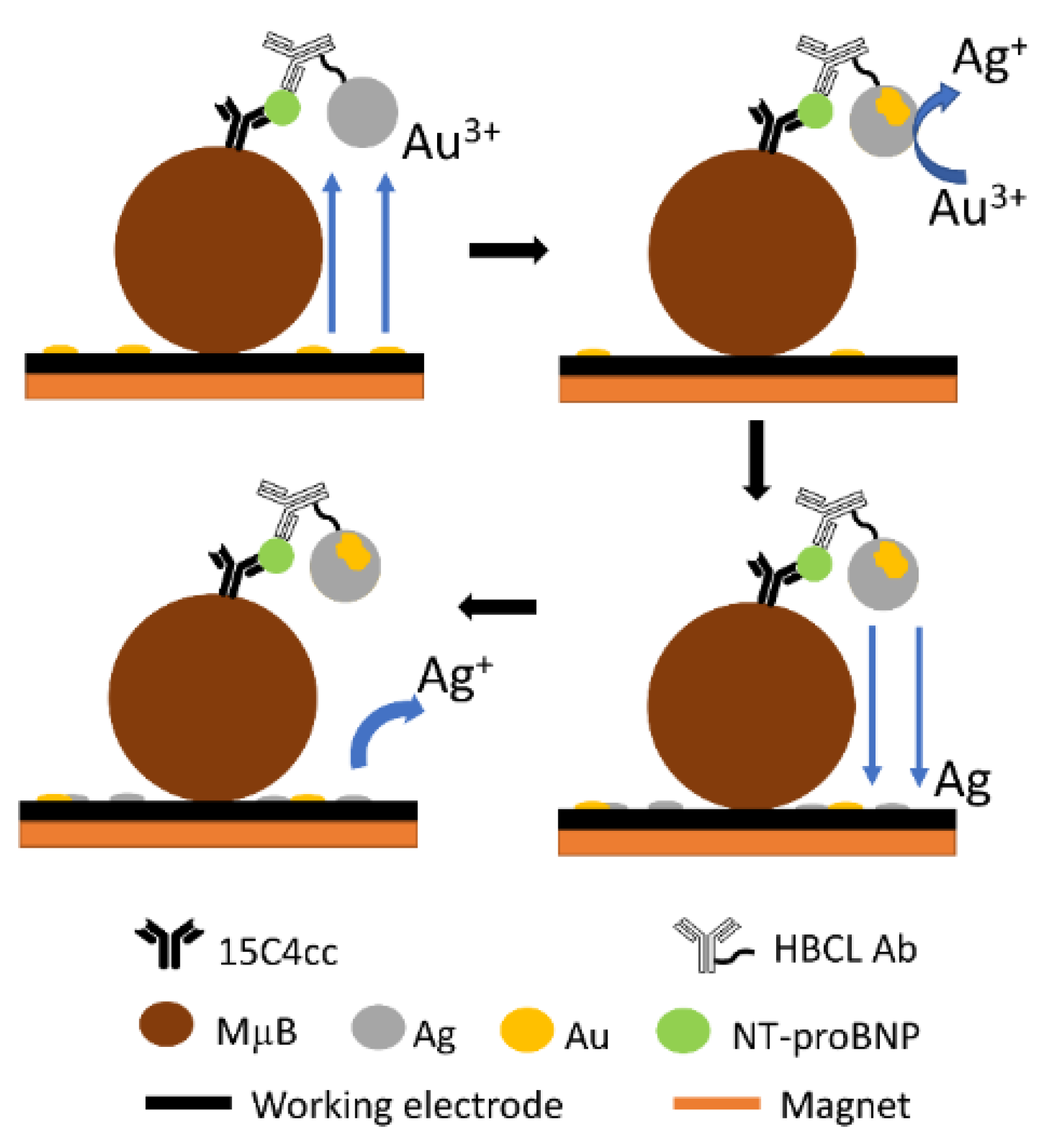 Biosensors 12 00203 sch001