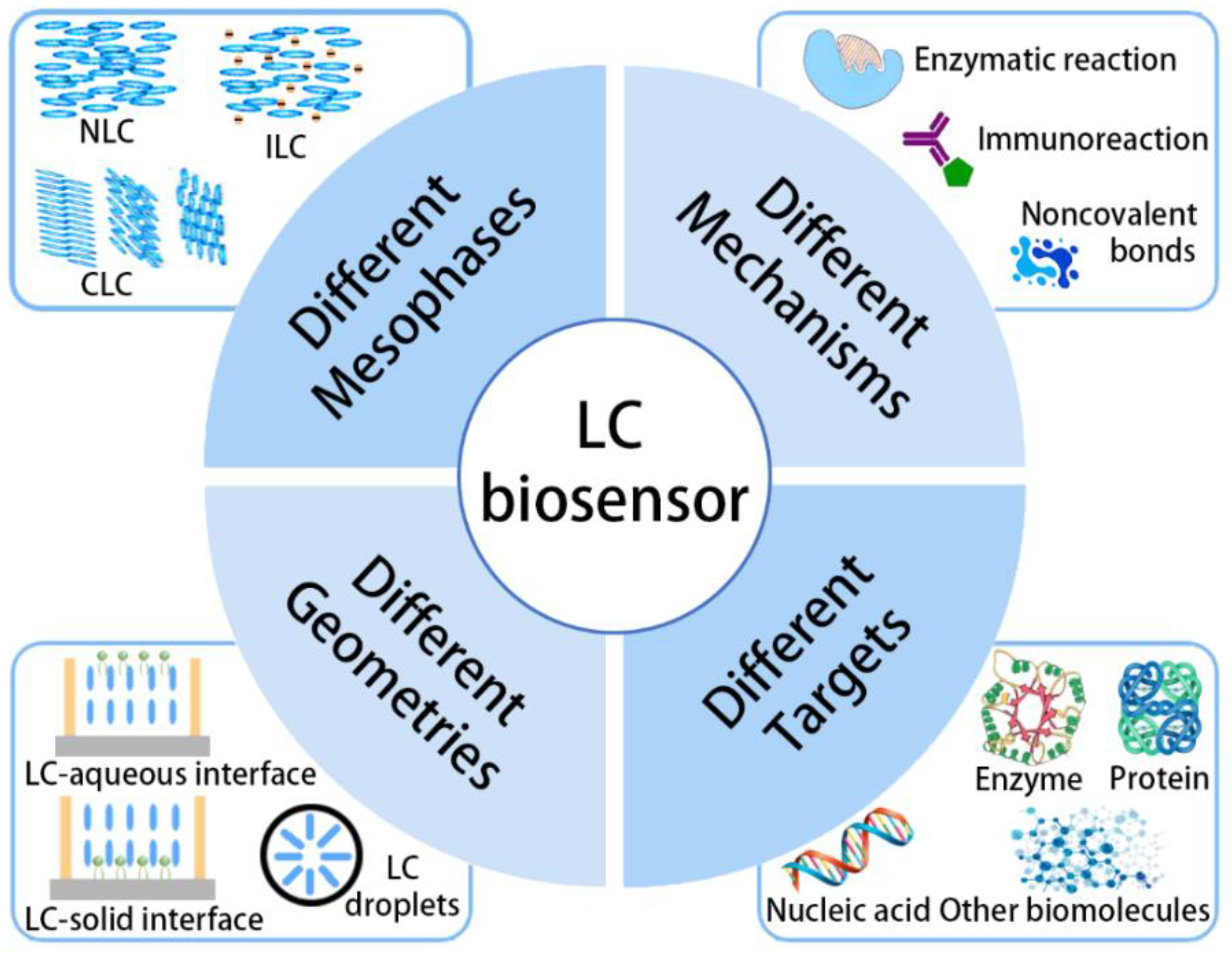 Biosensors 12 00205 g001 Biosensors 12 00205 g001