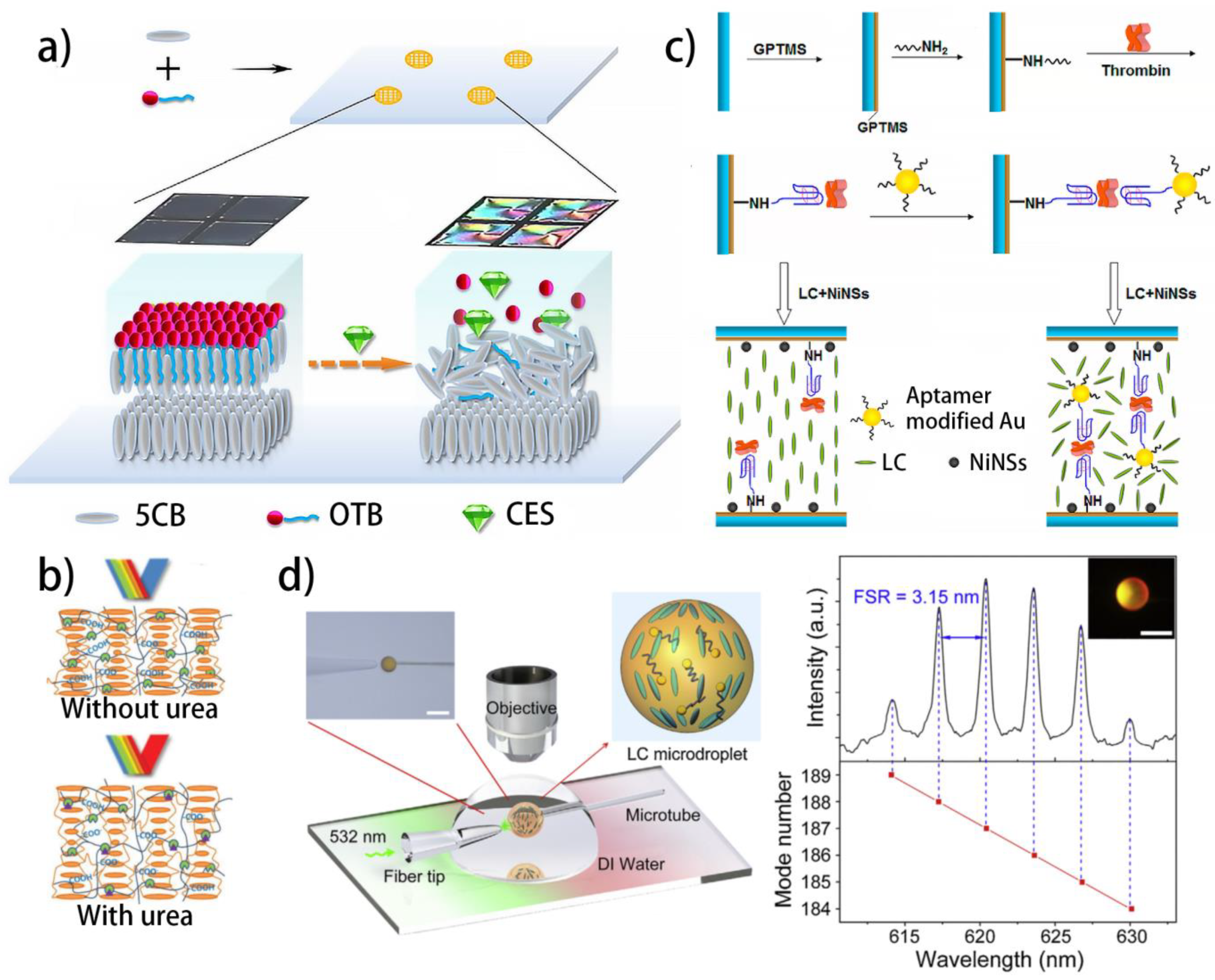 Biosensors 12 00205 g002 Biosensors 12 00205 g002
