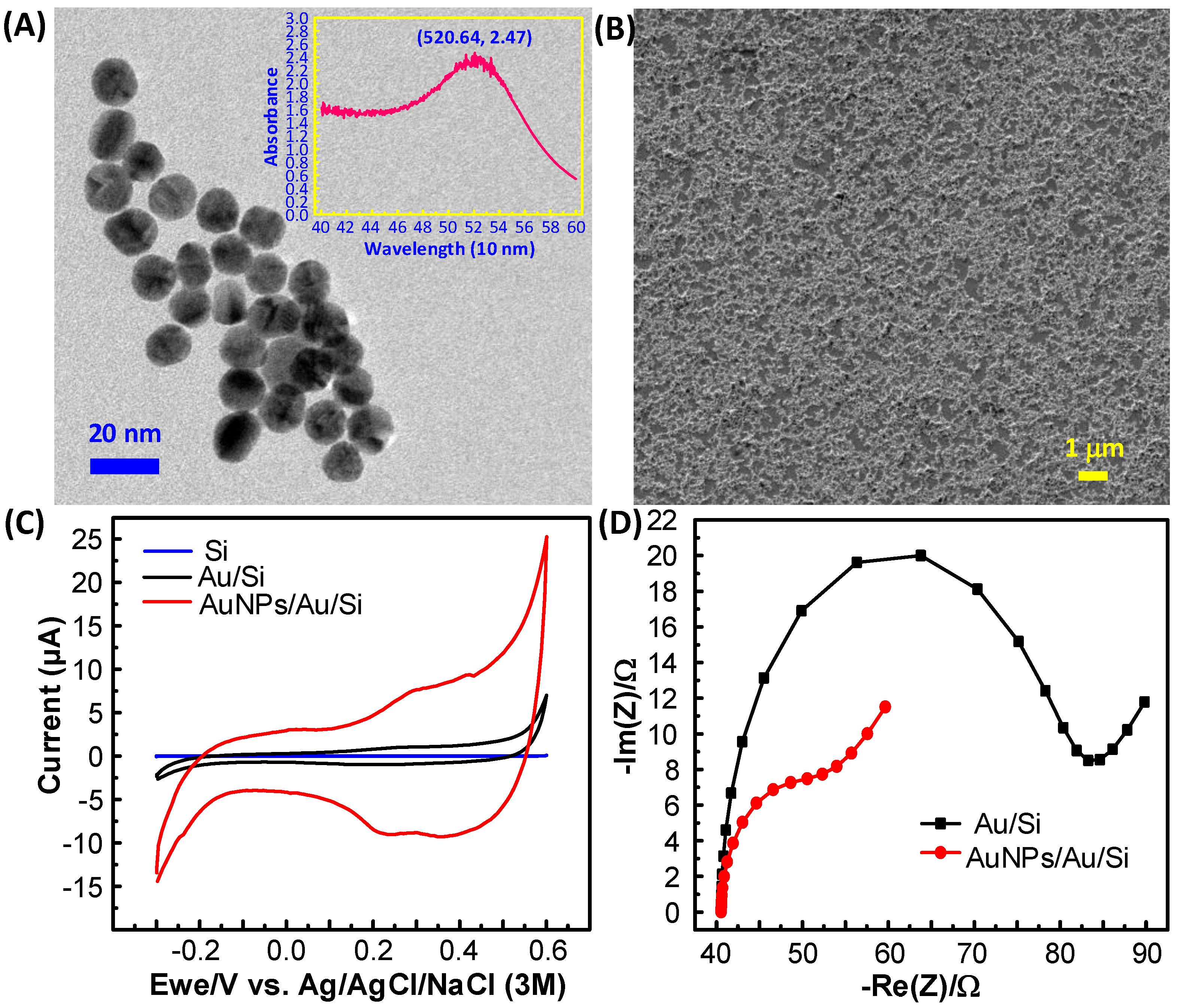Biosensors 12 00207 g001 Biosensors 12 00207 g001