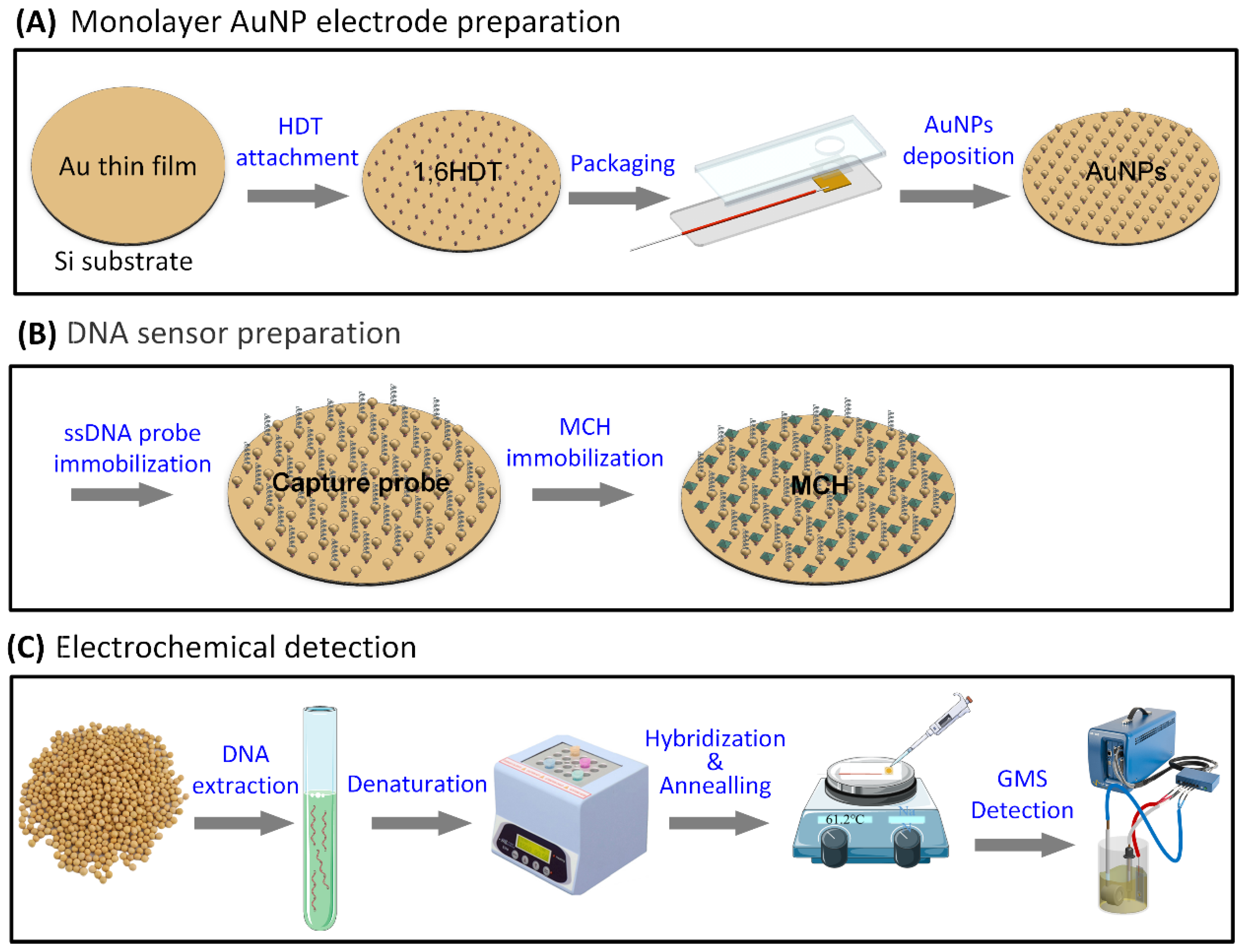 Biosensors 12 00207 sch001 Biosensors 12 00207 sch001