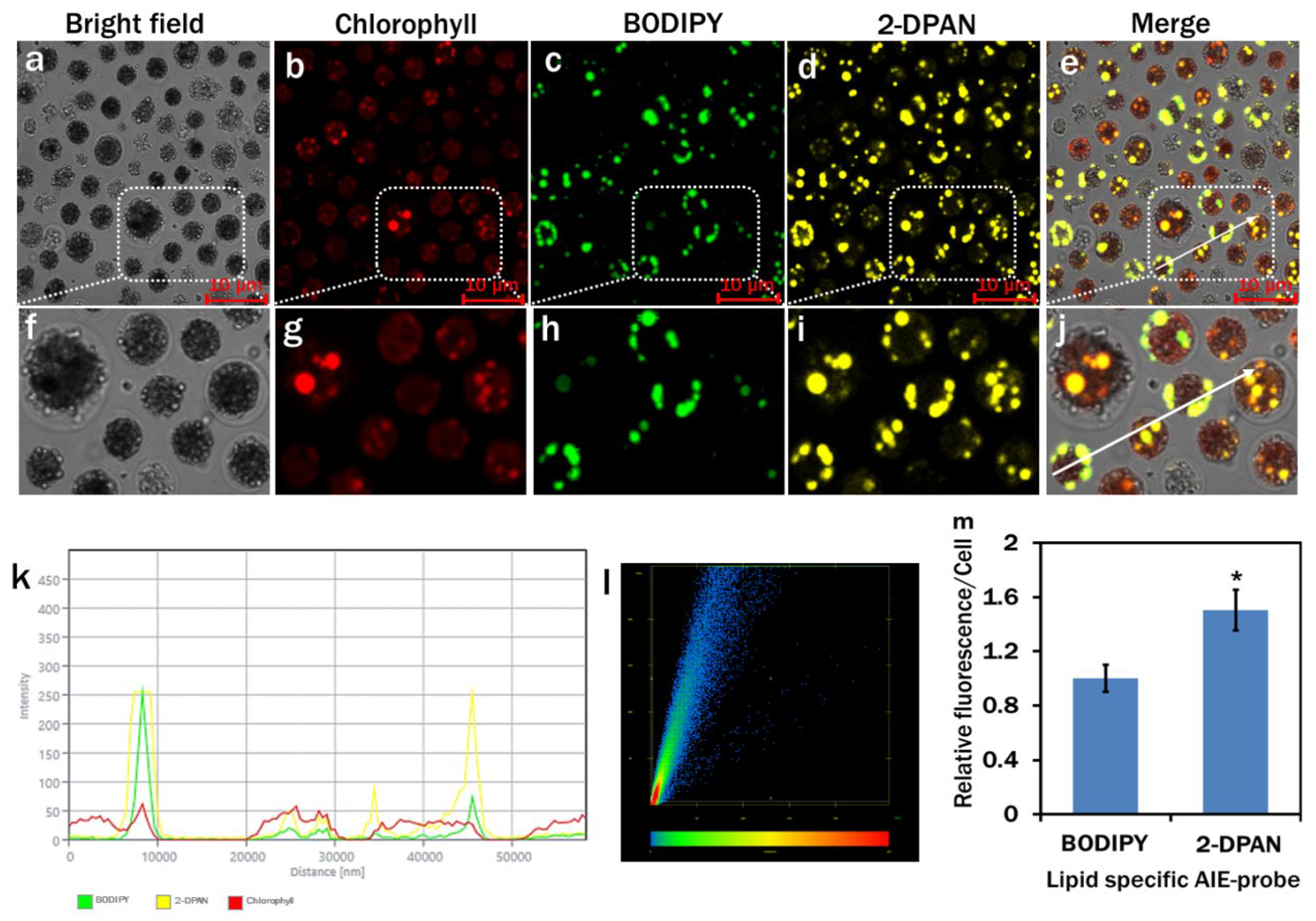 Biosensors 12 00208 g003