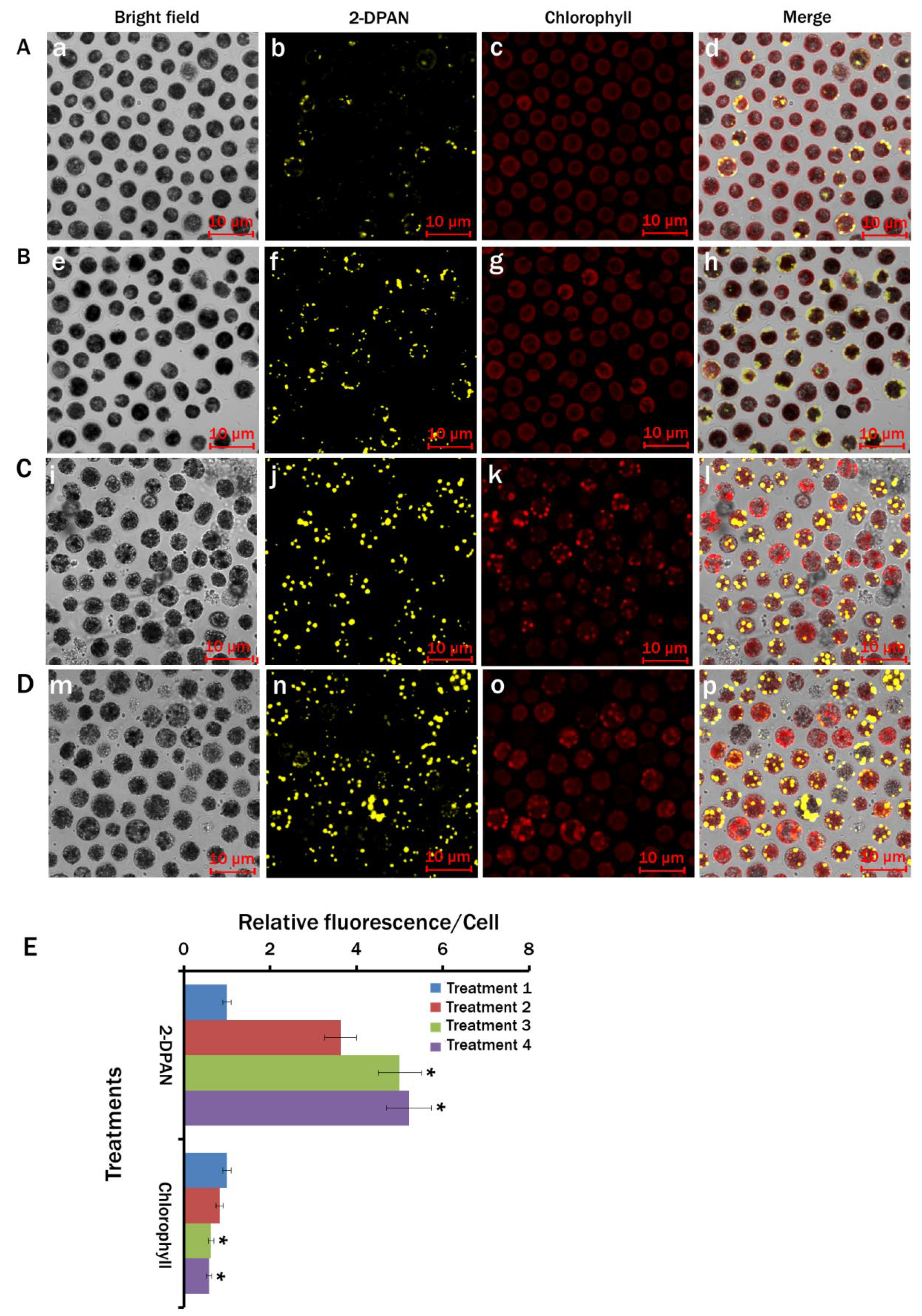 Biosensors 12 00208 g005