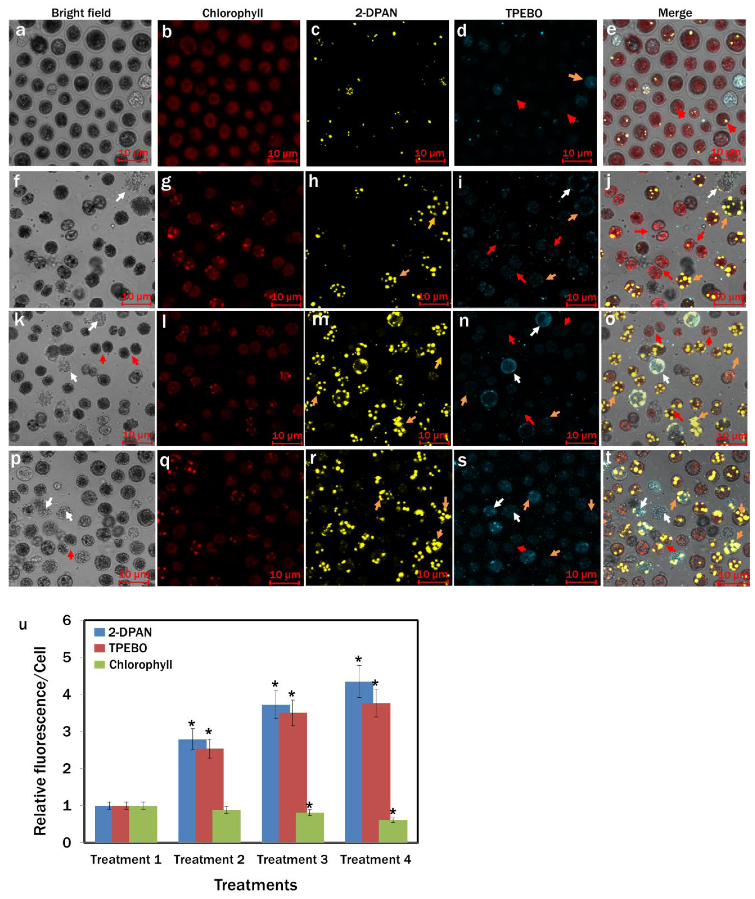 Biosensors 12 00208 g007