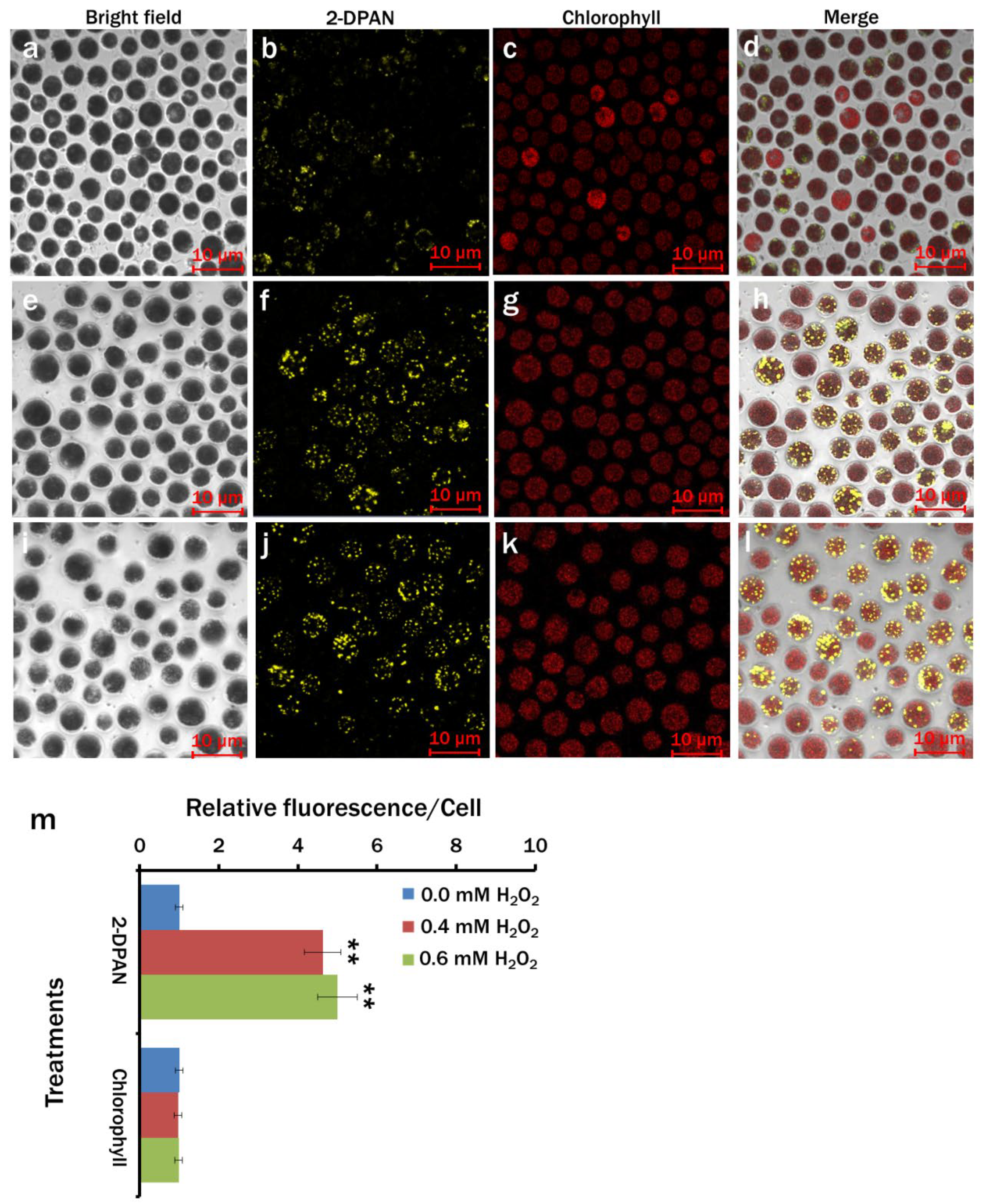 Biosensors 12 00208 g008