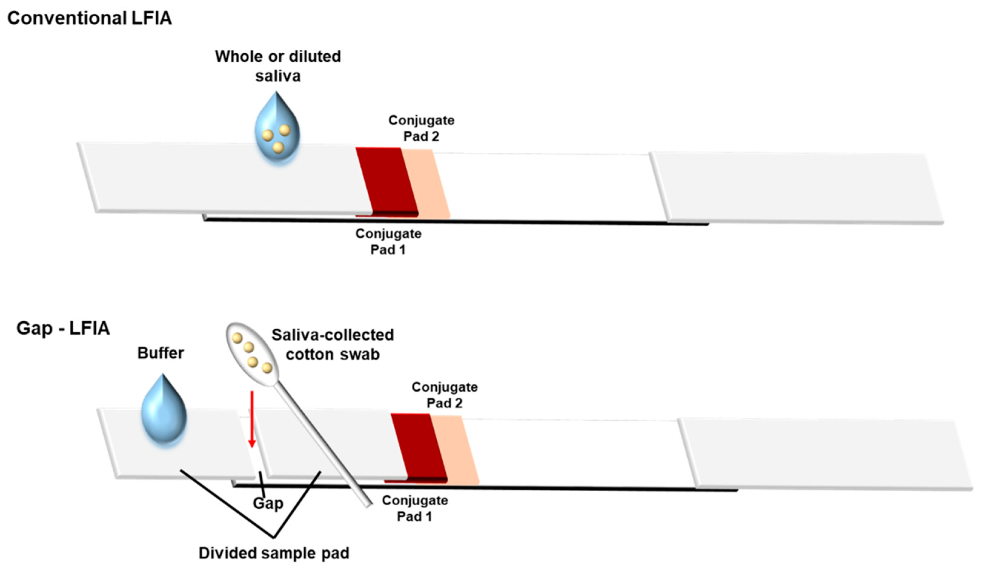 Biosensors 12 00214 g001