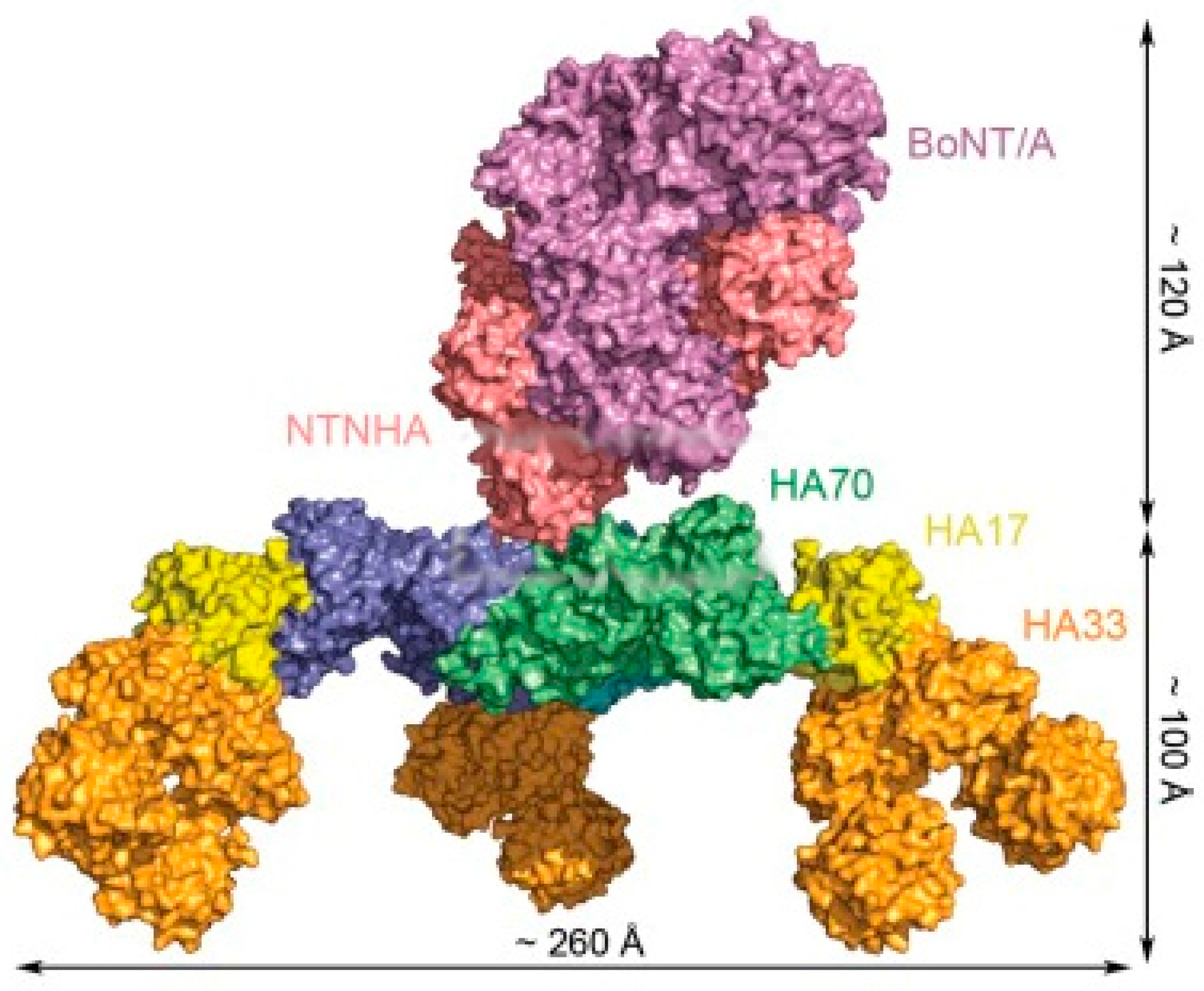 Biosensors 12 00216 g015