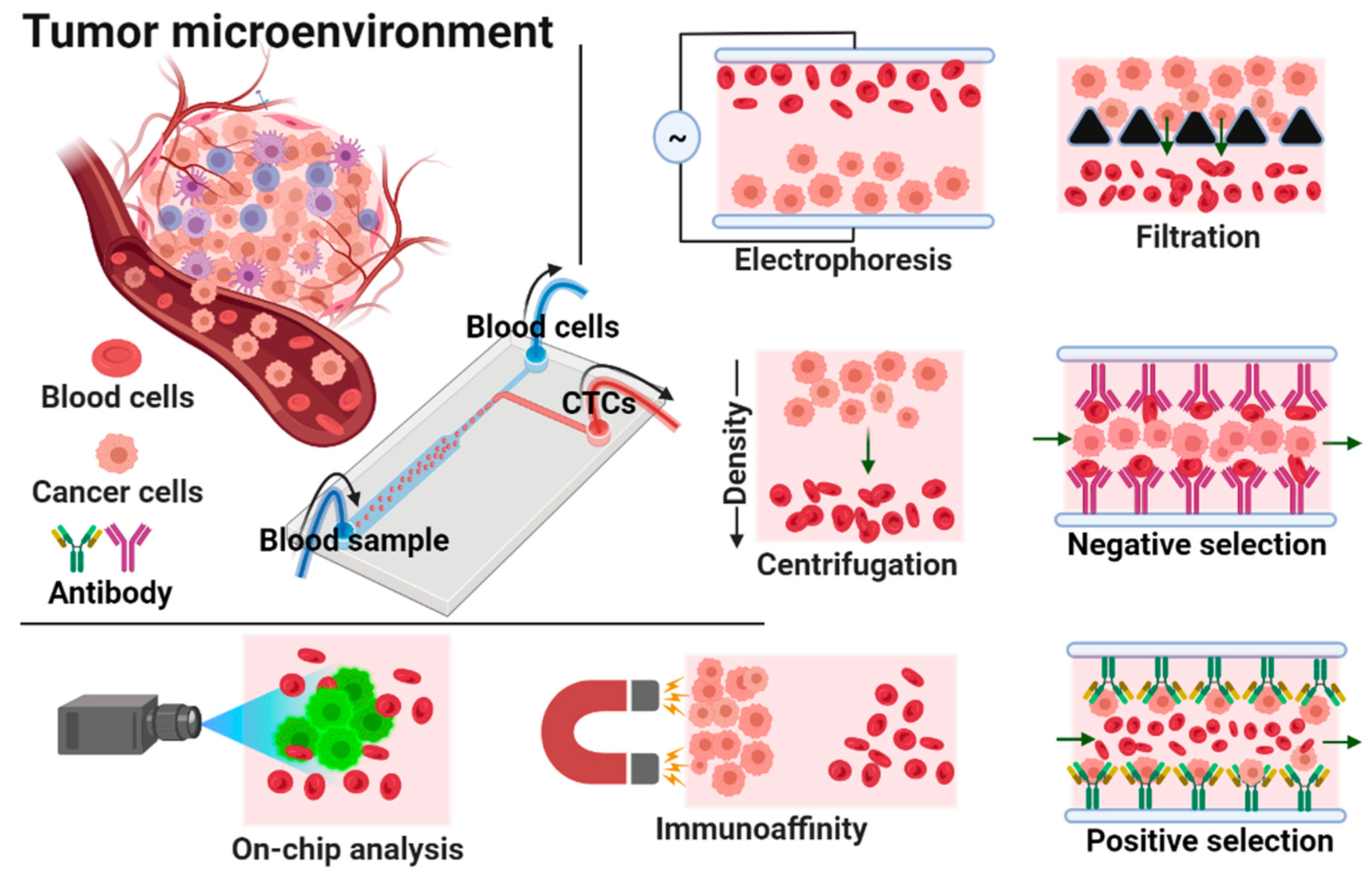 Biosensors 12 00220 g001