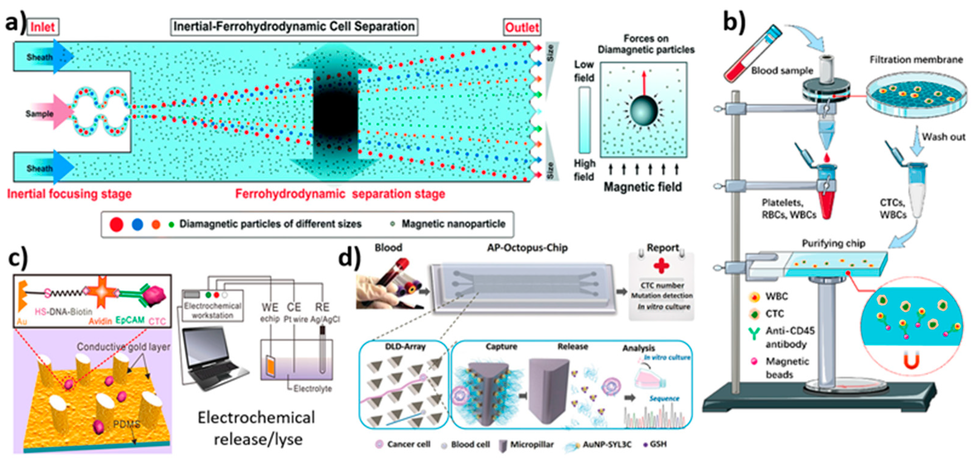 Biosensors 12 00220 g006