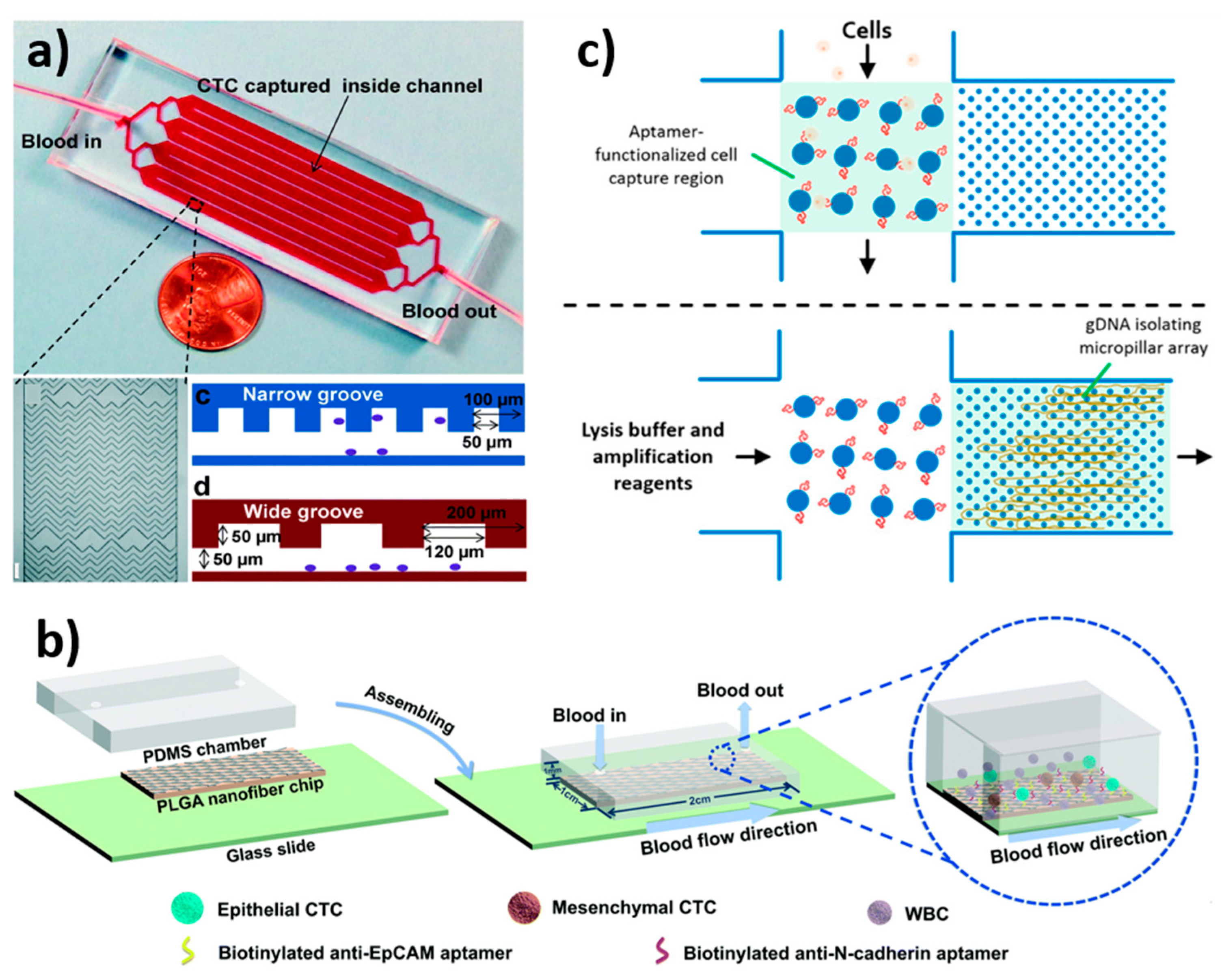 Biosensors 12 00220 g007