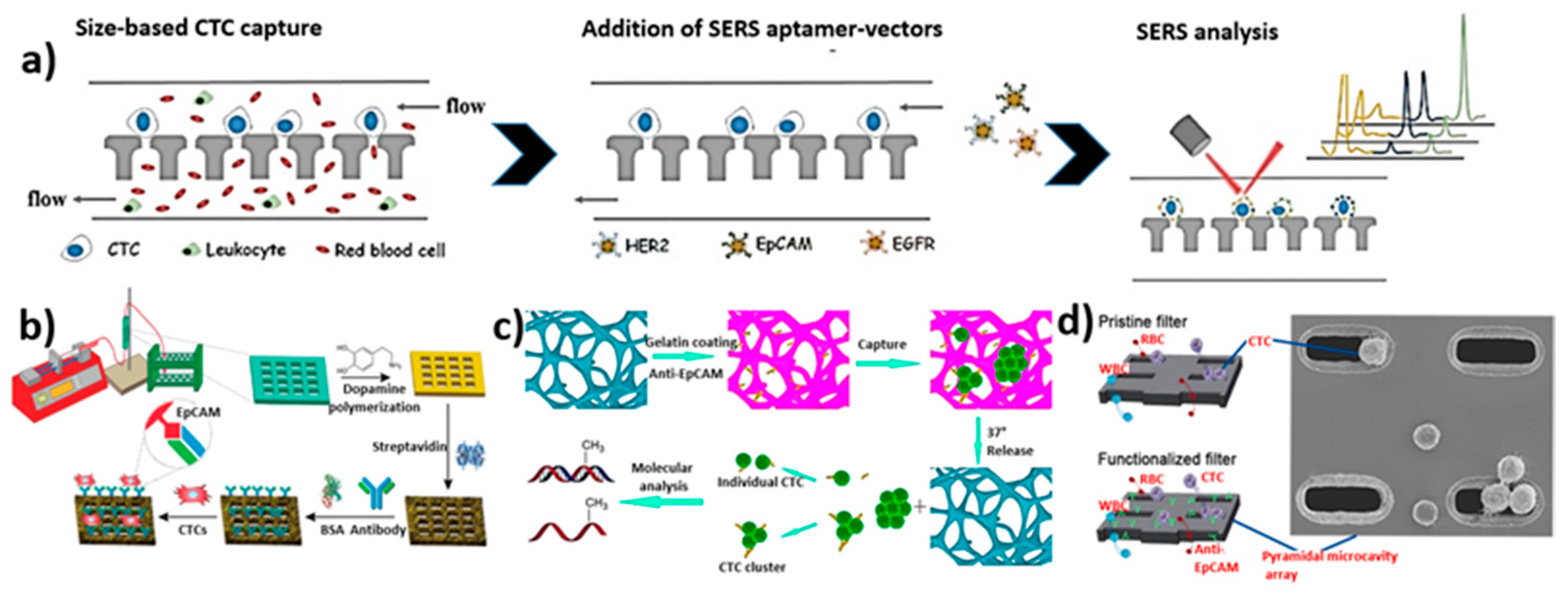 Biosensors 12 00220 g008