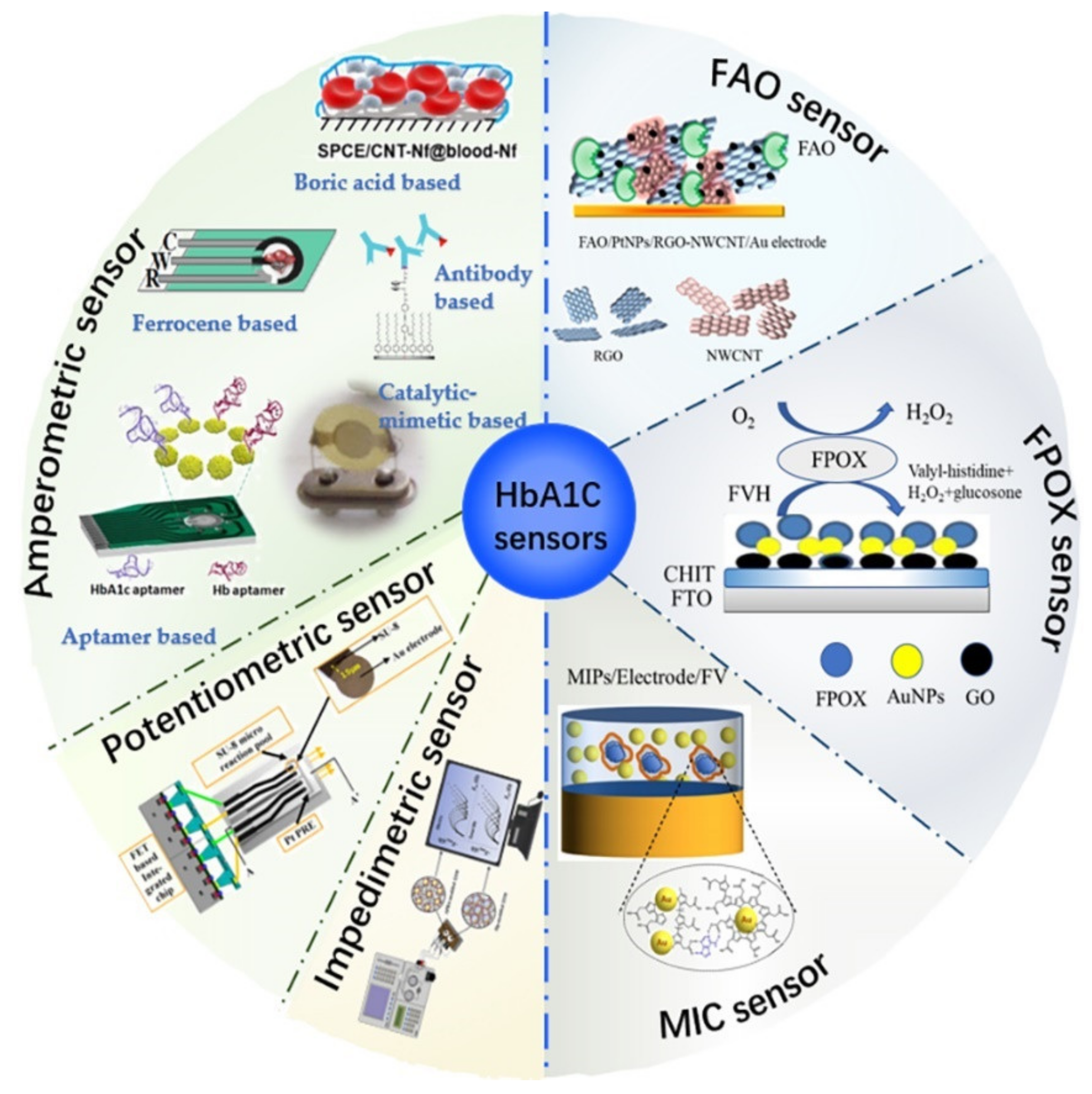 Biosensors 12 00221 g001 550