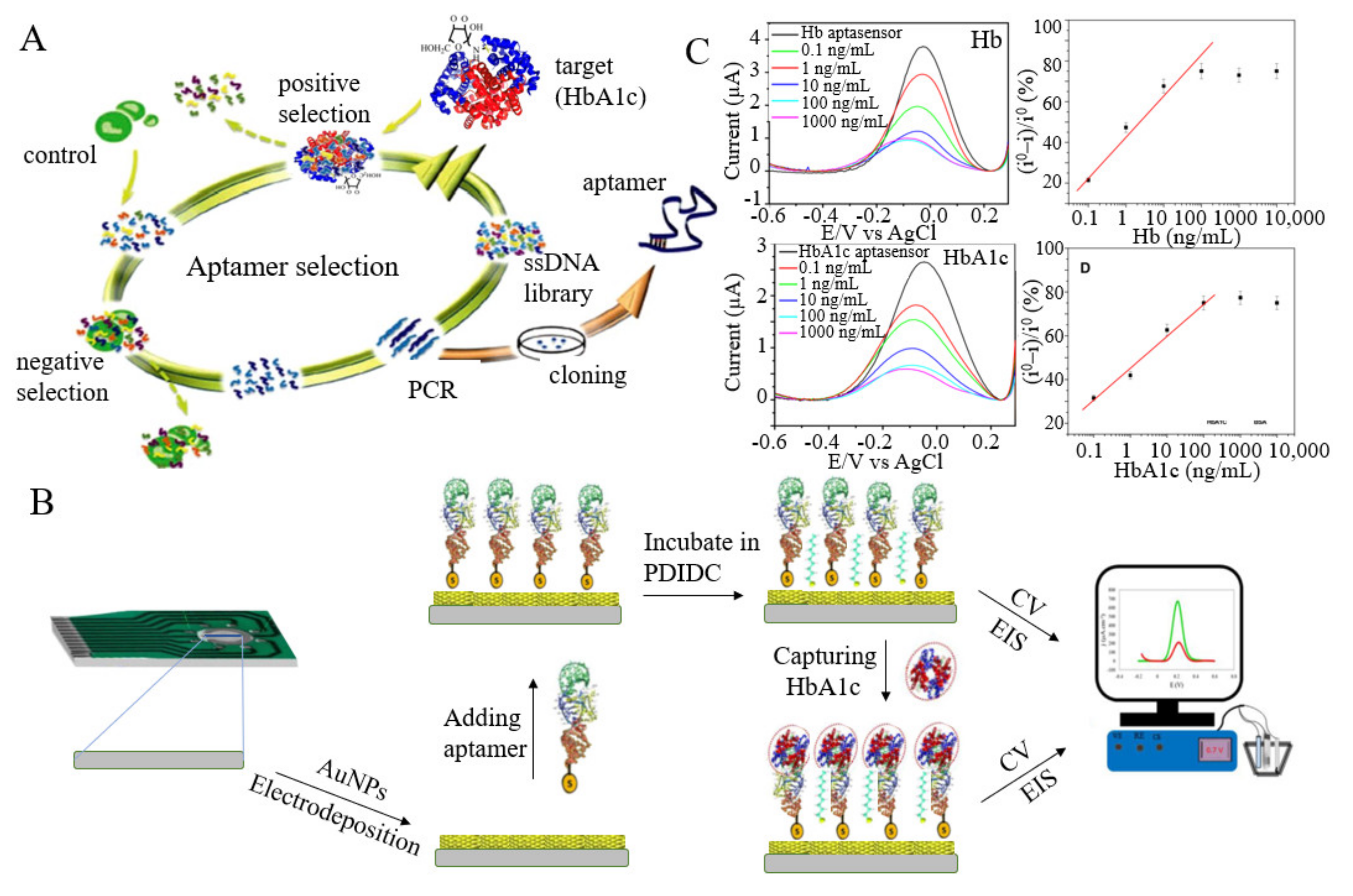Biosensors 12 00221 g003 550
