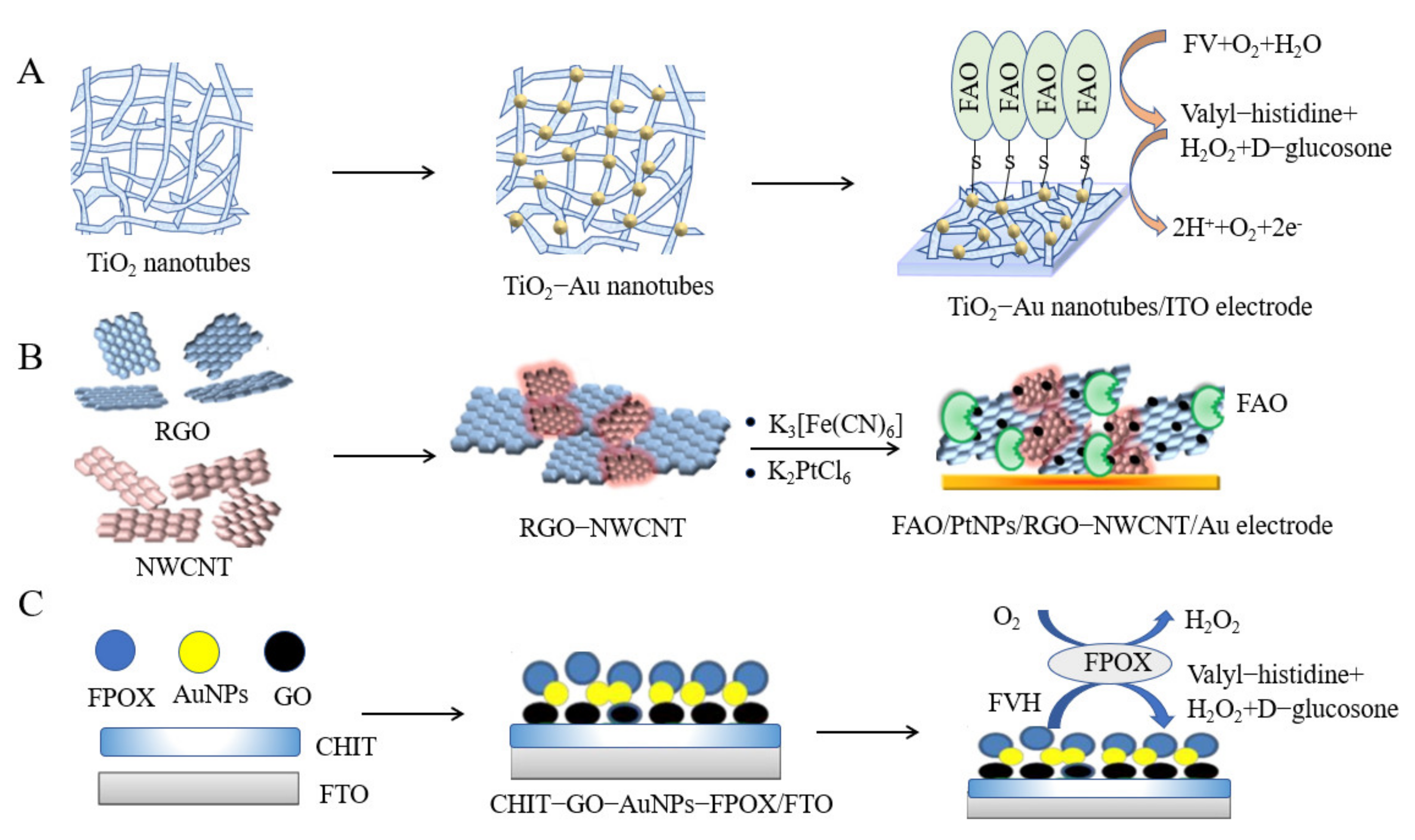 Biosensors 12 00221 g005 550